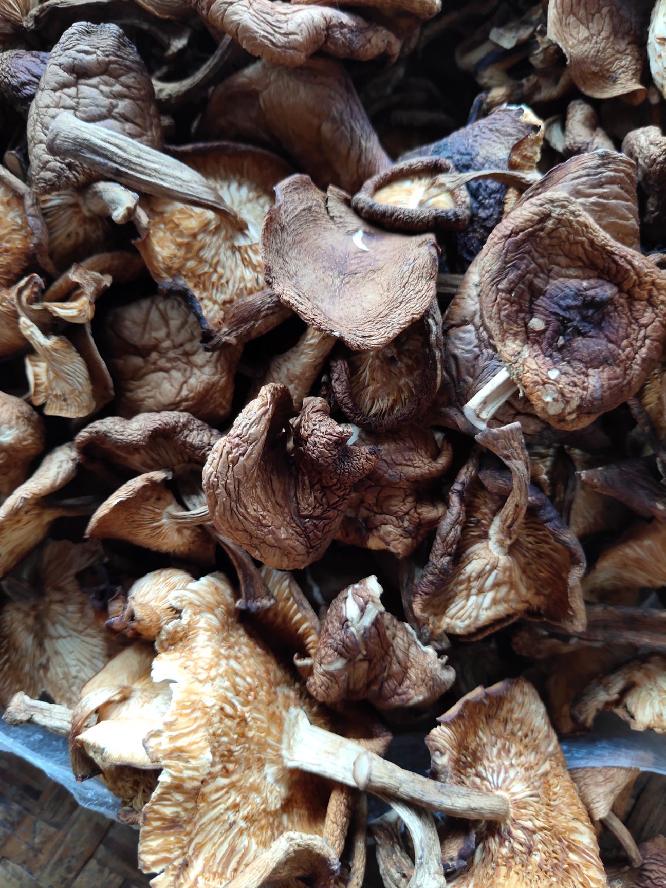 原木干香菇 云南高海拔深山蘑菇,大自然的馈赠,原生态原味