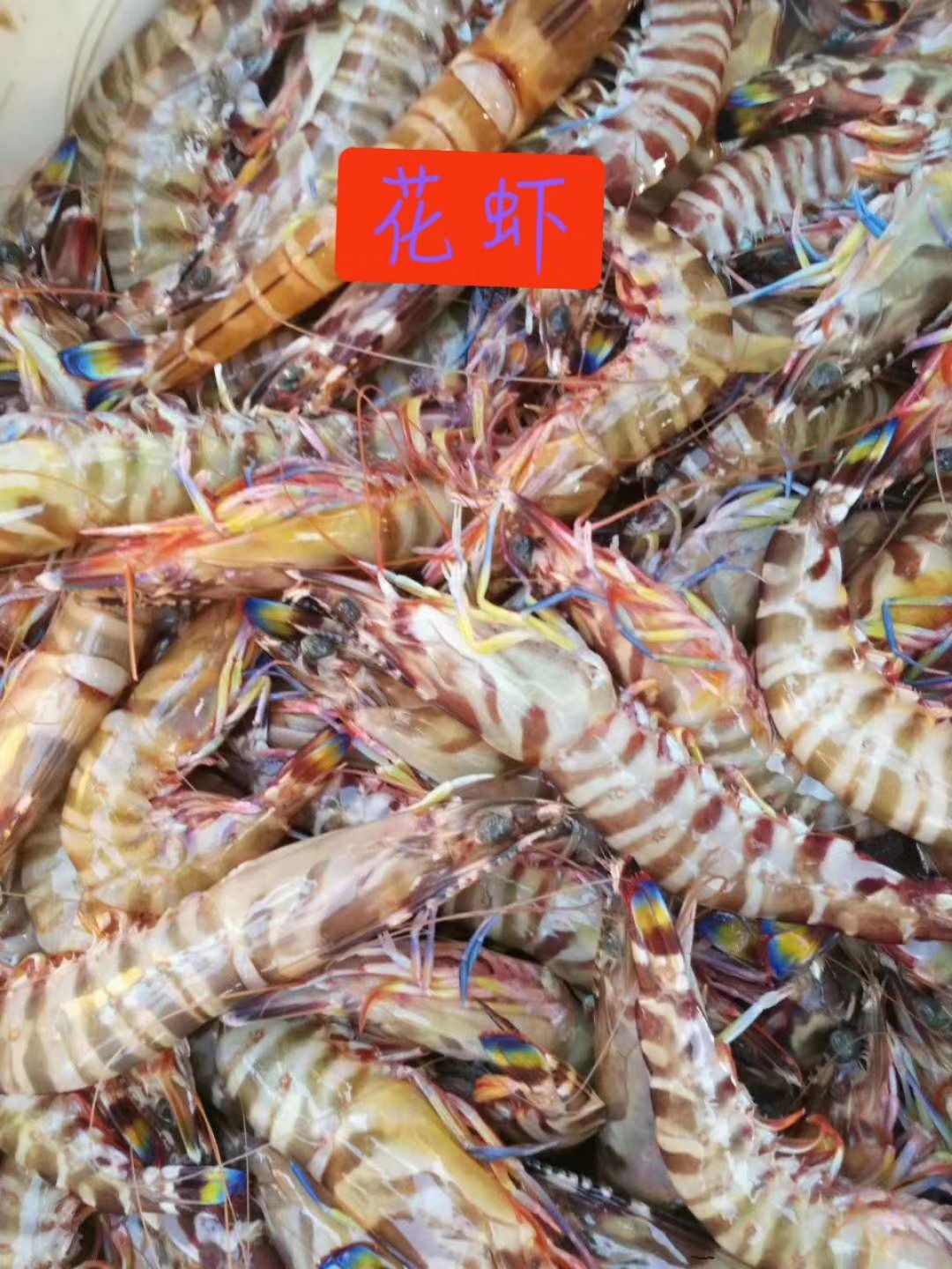 红脚虾,花虾10～15头