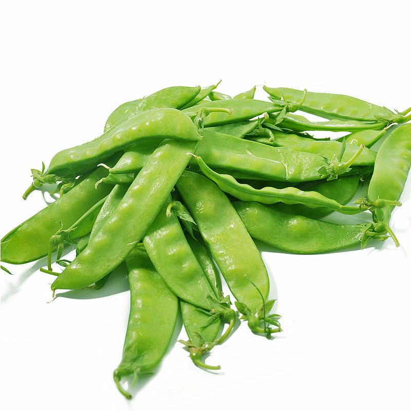 大荚荷兰豆种子 菜豌豆甜脆嫩无渣高产 阳台菜园四季播蔬菜种子