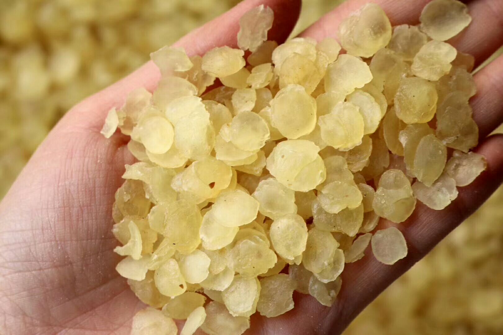 云南单荚皂角米电烤无硫足干