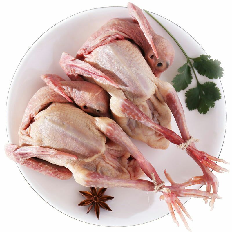 新鲜乳鸽肉现杀速冻鸽子肉土鸽子3只包邮滋补乳鸽孕妇滋补养生