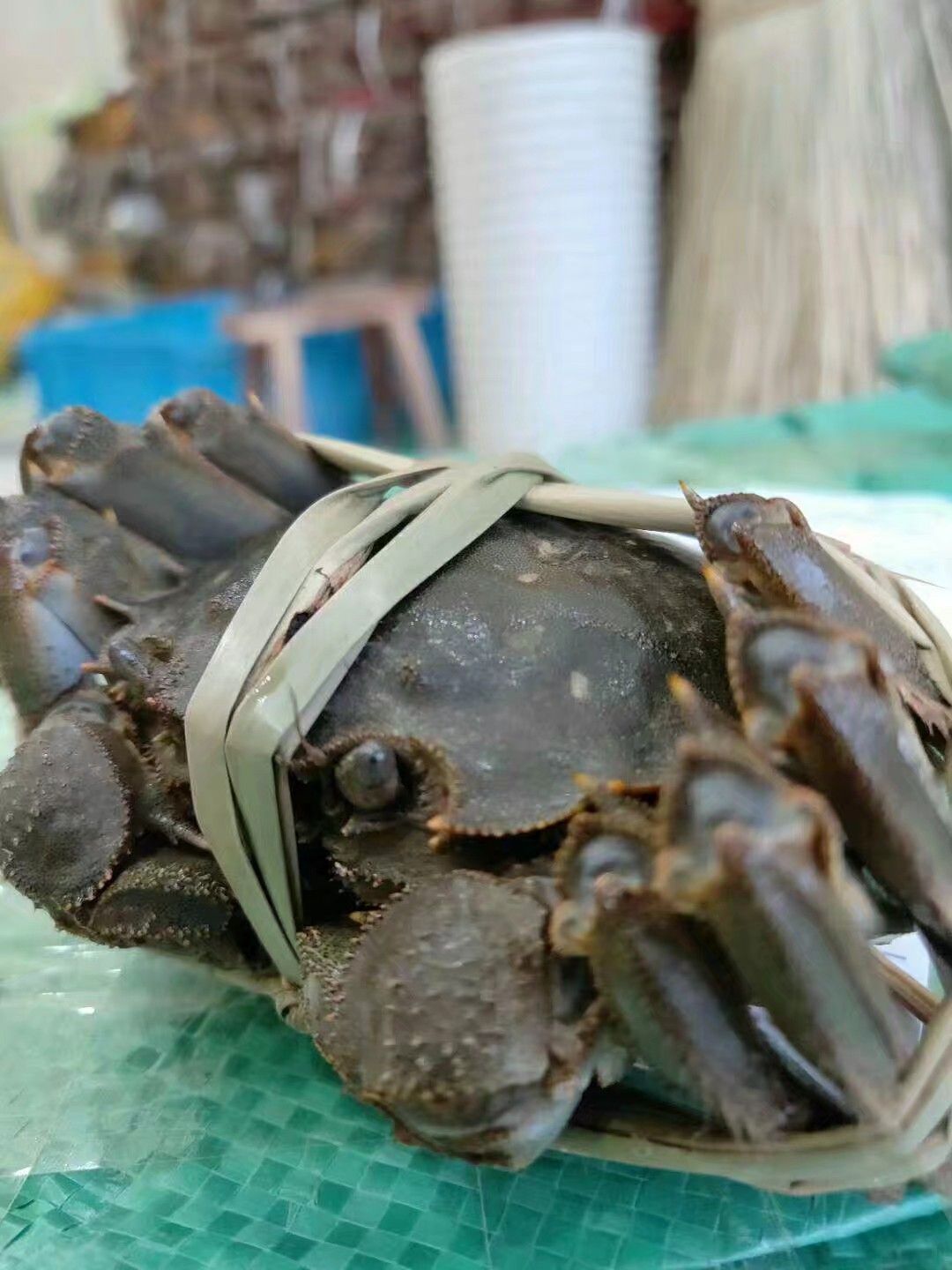 [兴化大闸蟹批发] 江苏兴化红膏大闸蟹，批发，一件代发!成熟大闸蟹价格50元\/斤 10斤起批