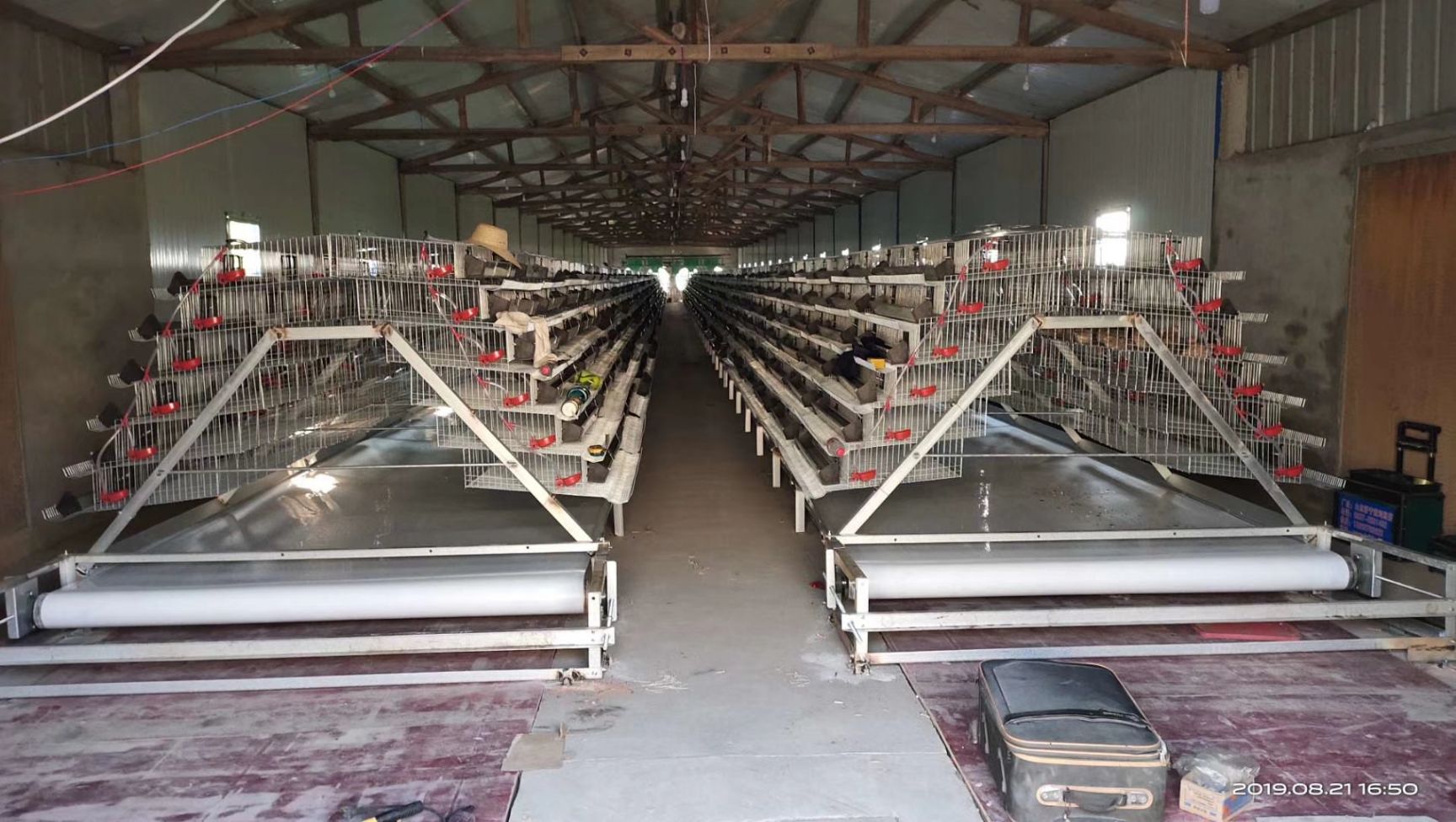 河南郑州荥阳市 养鸡设备 鸡场器械自动化养殖设备