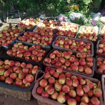 农产品批发供应商宋子学 - 惠农网电脑版