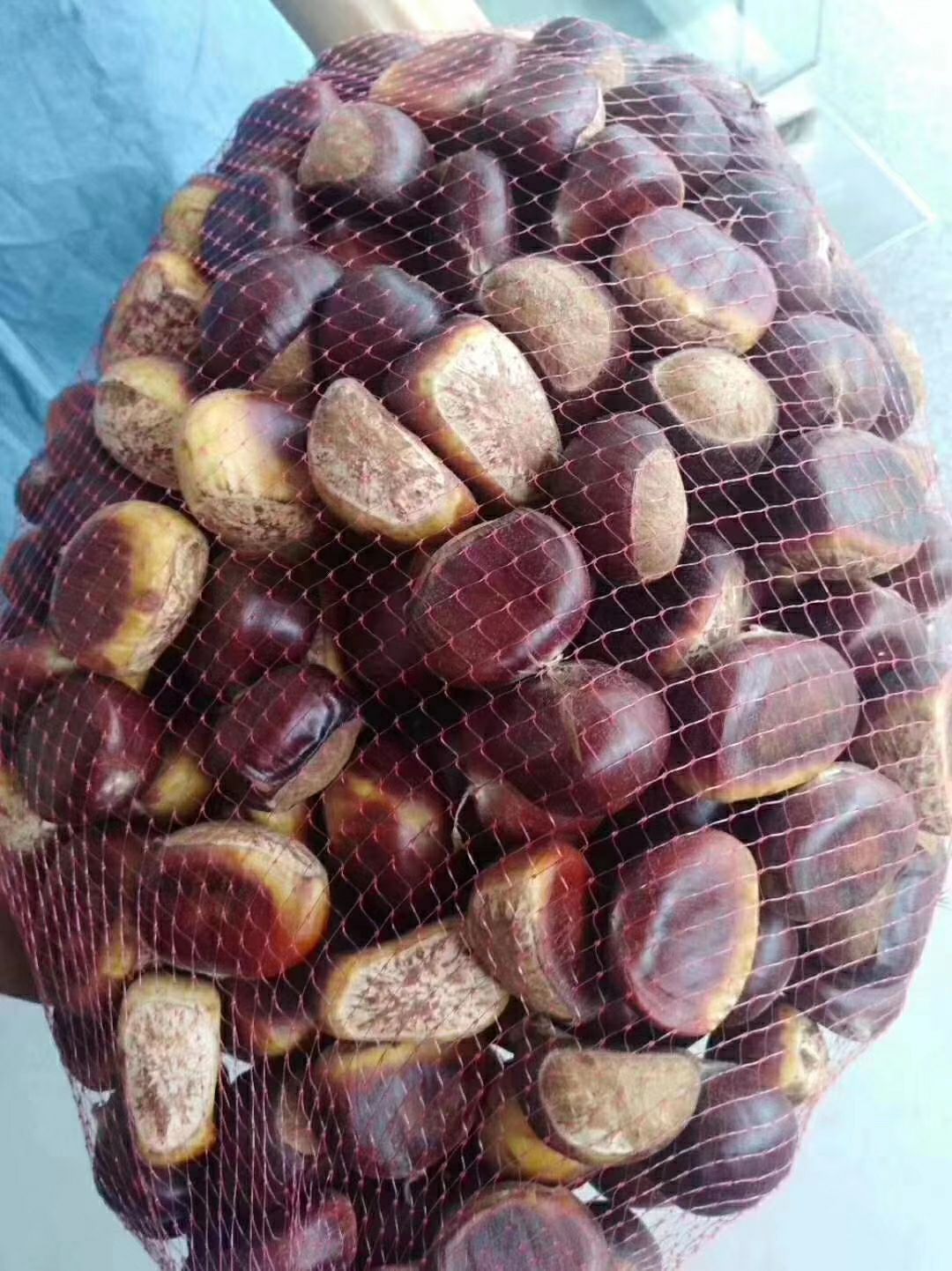 板栗麻城五月红六月红炒栗子