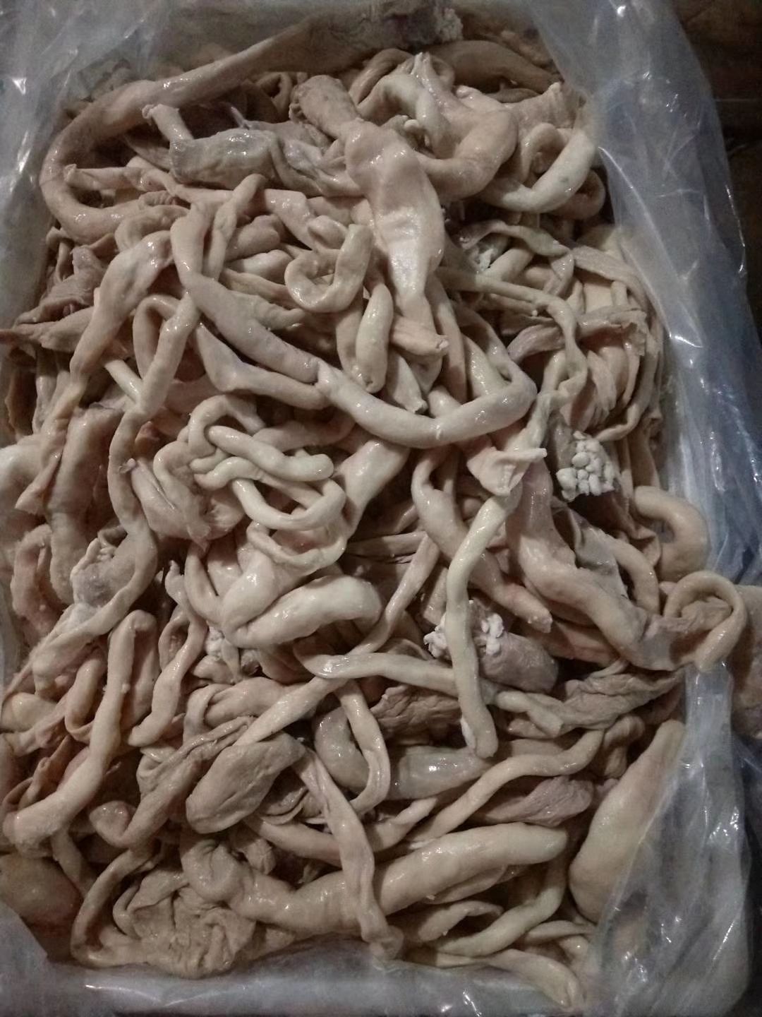 羊肠