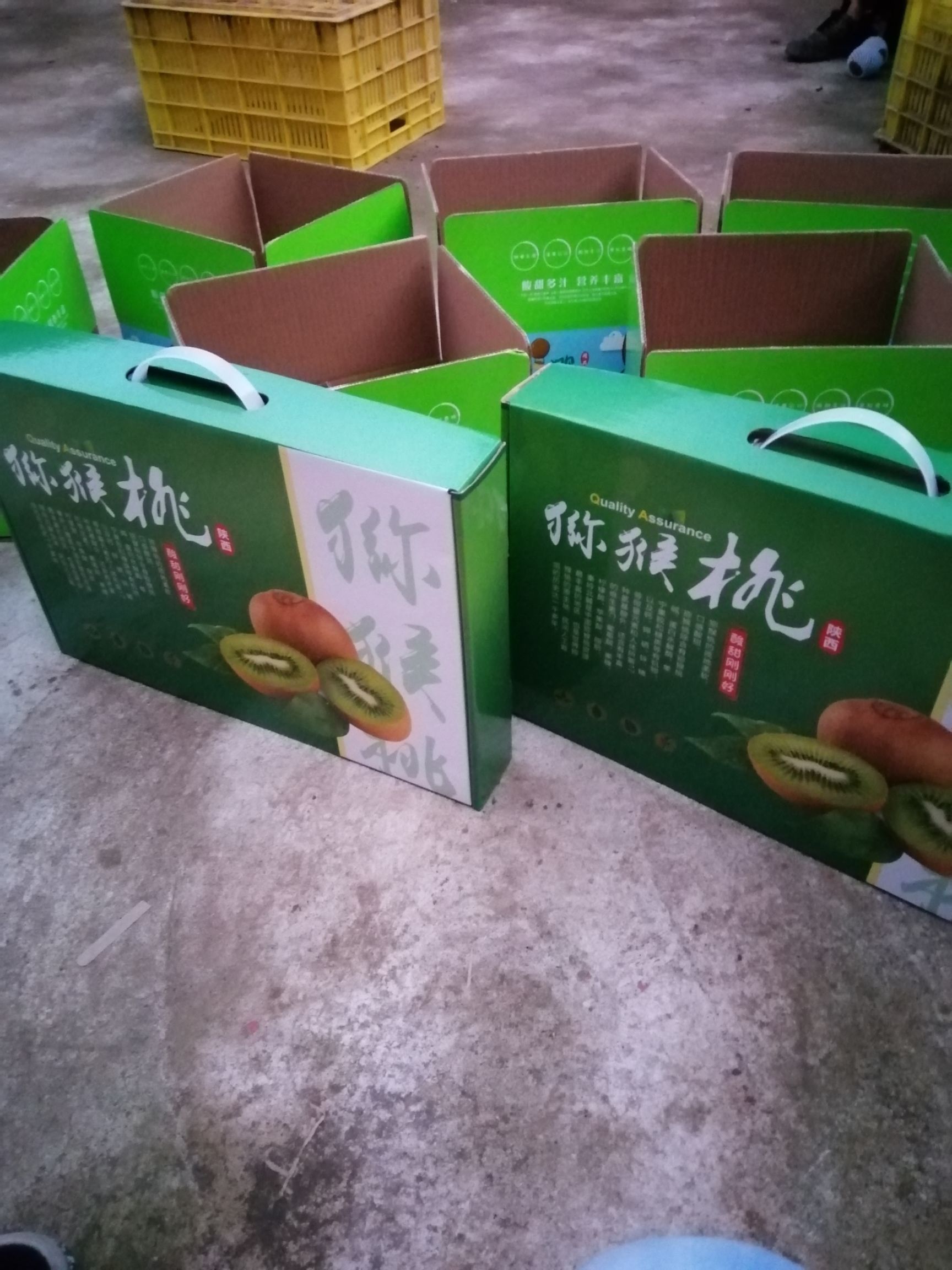 眉县徐香猕猴桃,5斤装10斤装,礼盒包装,鲜果直供