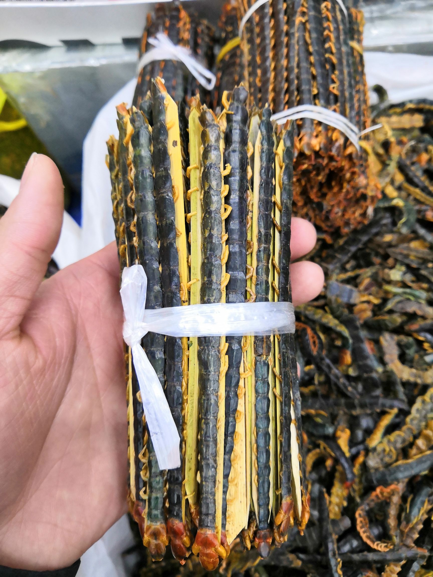 供应大厅  禽畜肉蛋  蜈蚣  上等野生 蜈蚣 蜈蚣皮 蜈蚣脚 各种规格