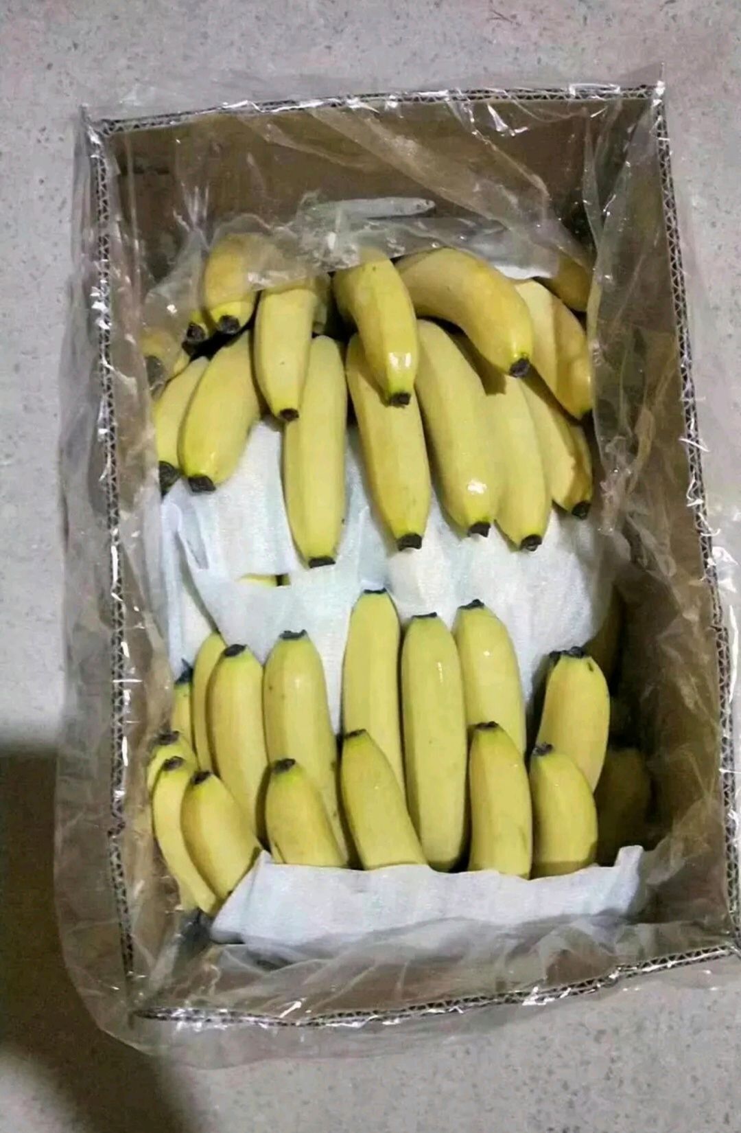  精品香蕉 一箱十八斤 口感甜糯 果面干净 不黑心 肥度够