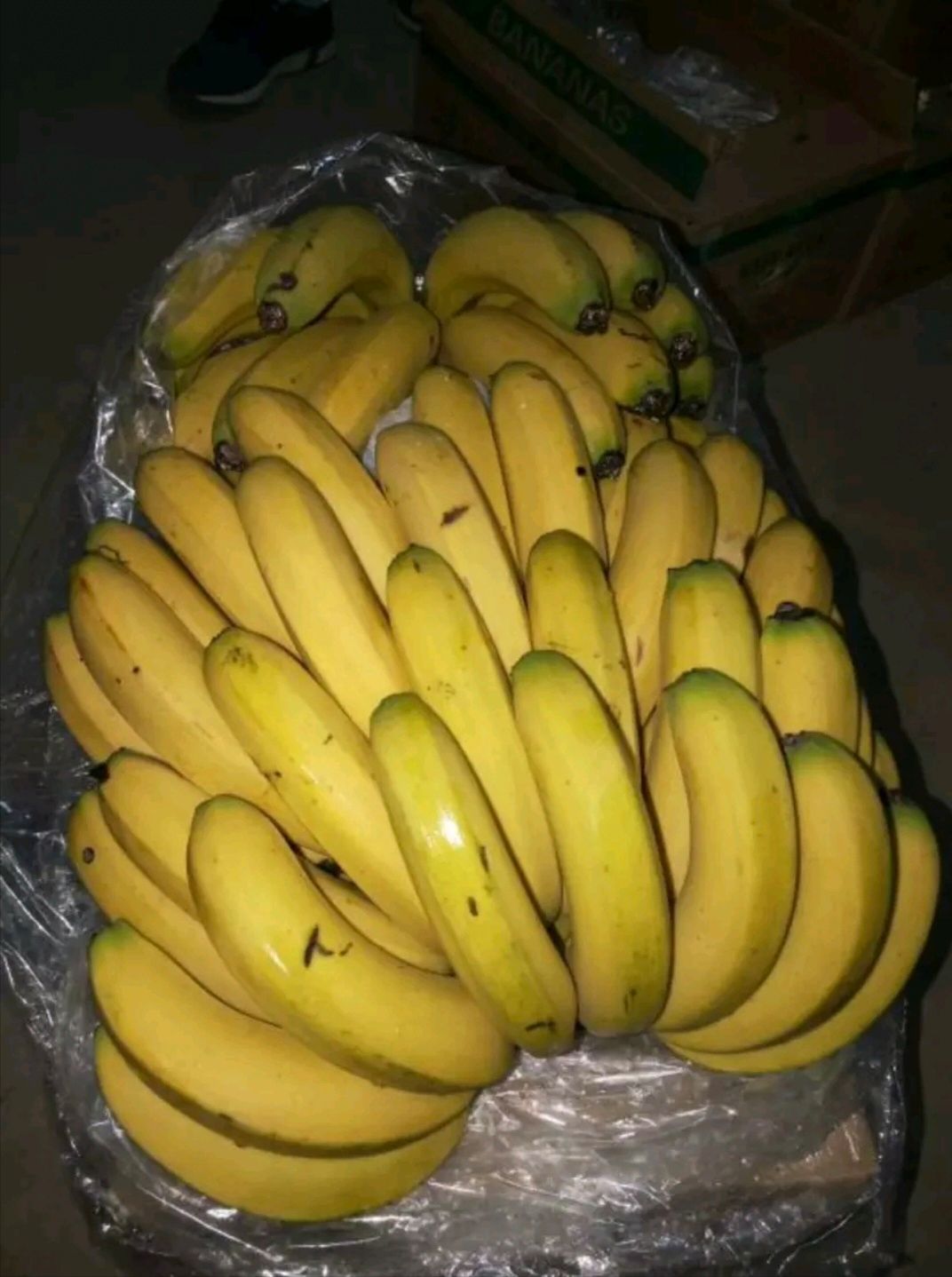  精品香蕉 一箱十八斤 口感甜糯 果面干净 不黑心 肥度够