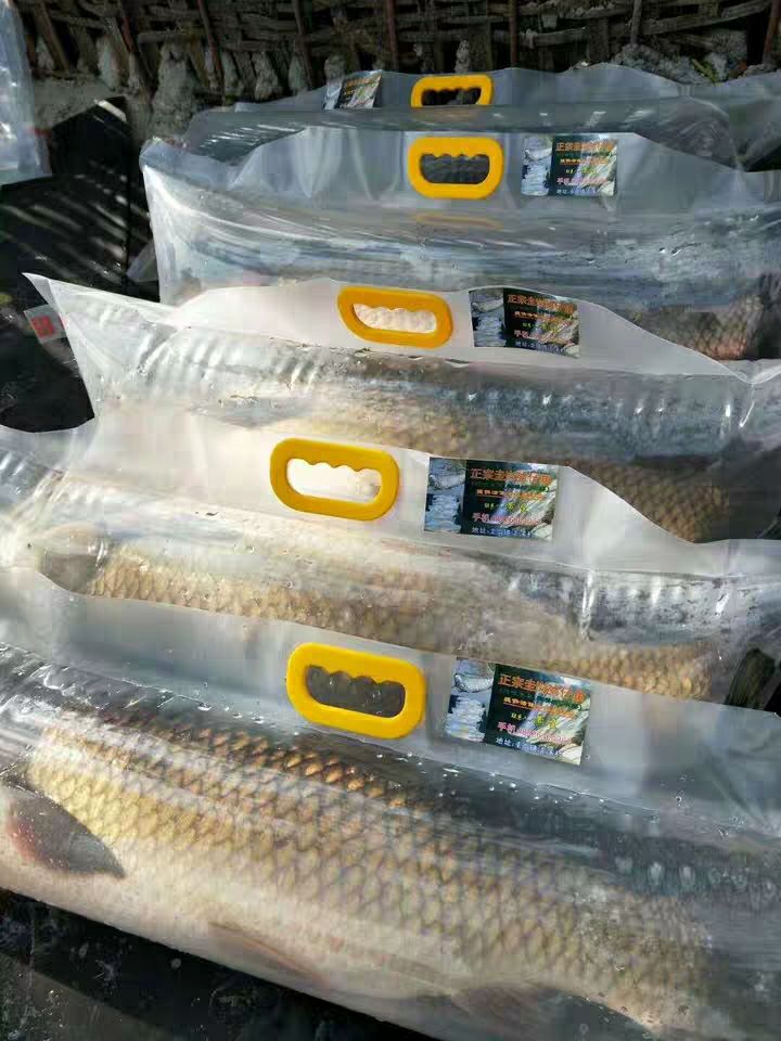 [鱼苗氧气袋批发]鱼苗氧气袋 厂家直销活鱼充氧运输袋