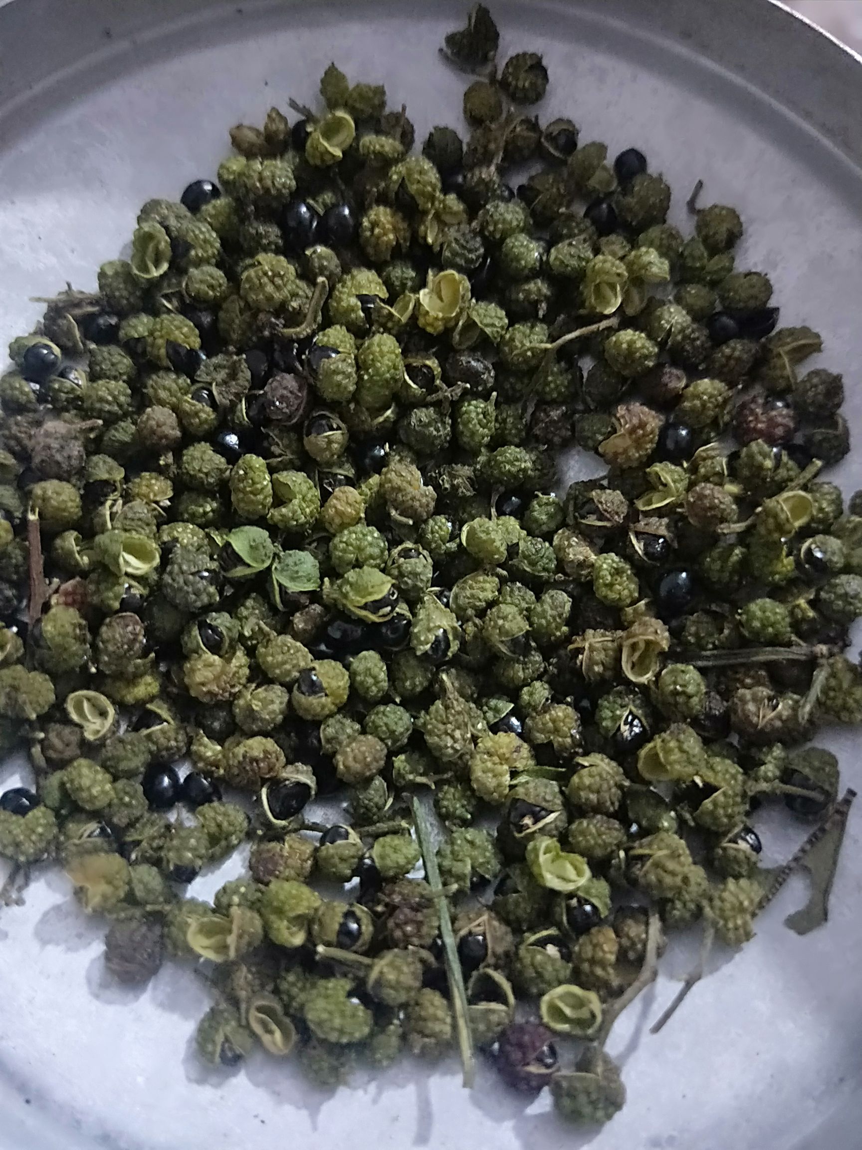 云南大姚县青花椒 大姚县铁锁九叶青,红花椒
