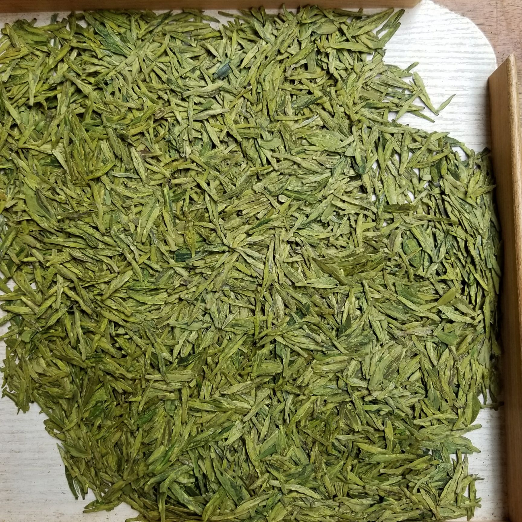 茶叶 绿茶 龙井 多芽 漂亮 回甘 豆香味 黄版 茶农直销