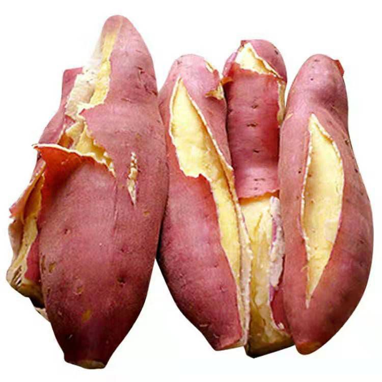 『陕西板栗薯』临潼板栗红薯沙地种植粉面香甜新鲜现挖5斤装