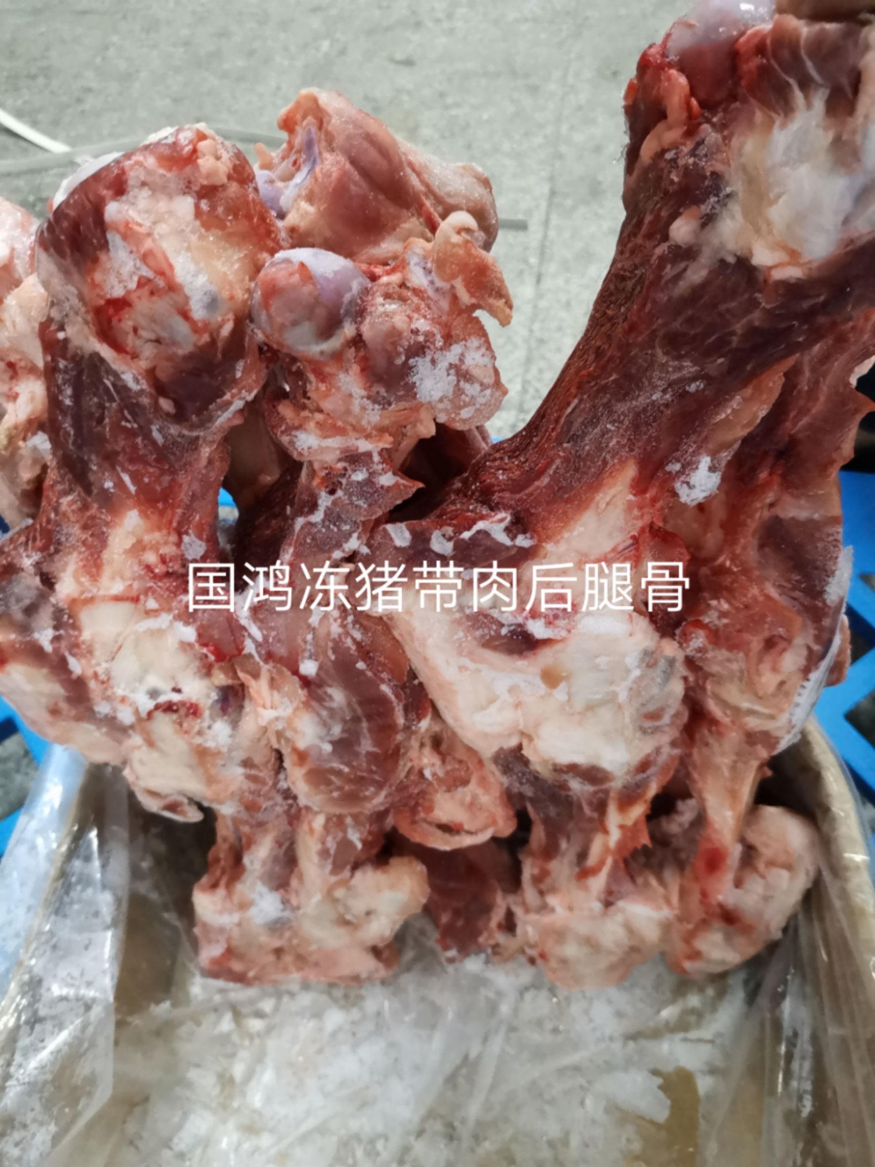 猪骨头 国鸿冻猪带肉后腿骨