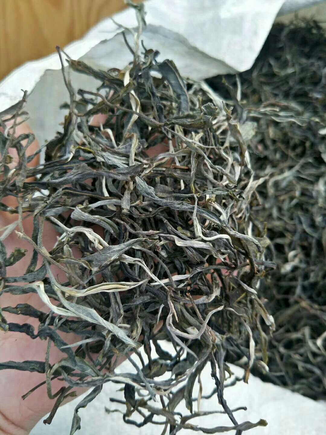 [古树茶批发]忙肺古树茶 谷花茶忙肺古树秋茶价格99元