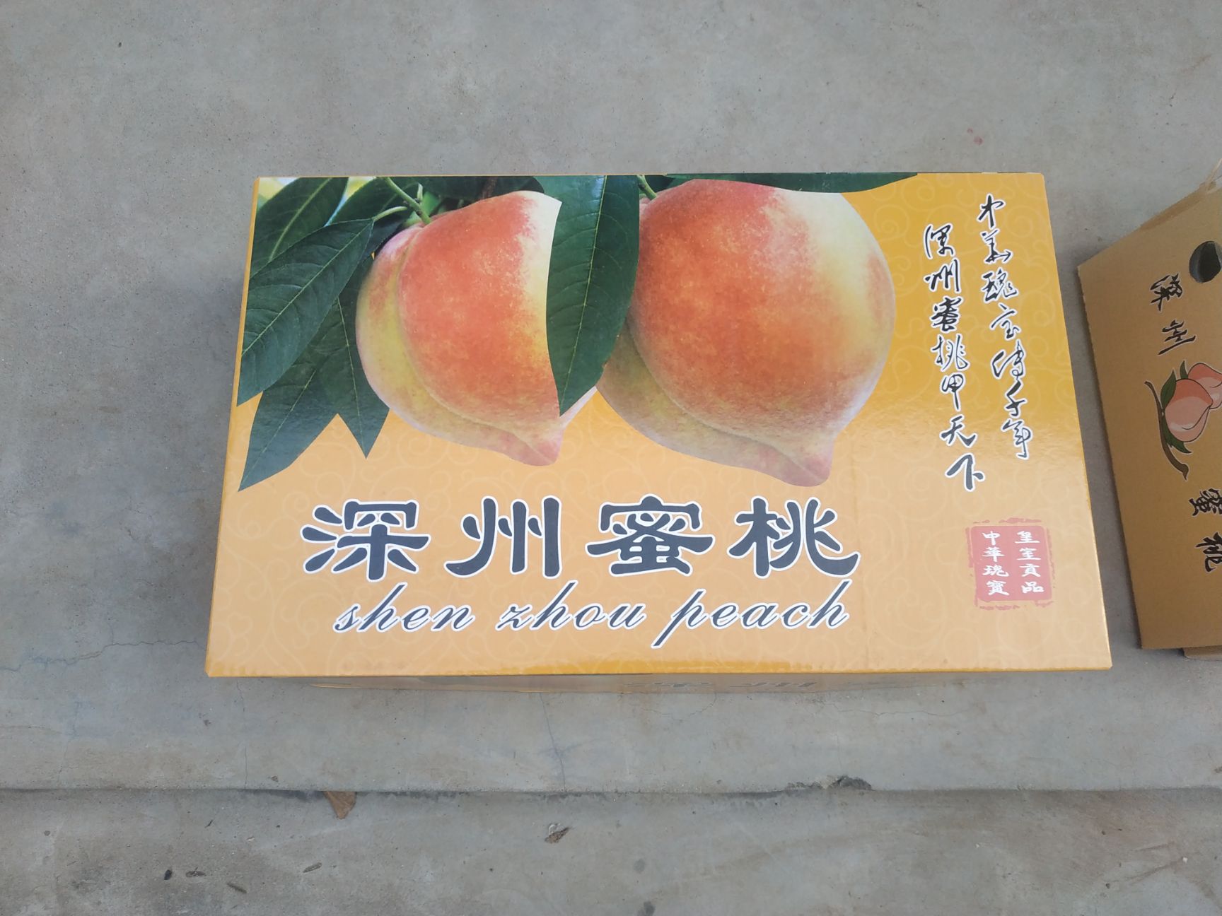 深州蜜桃历代贡品营养丰富鲜食可口现货供应顺丰快递