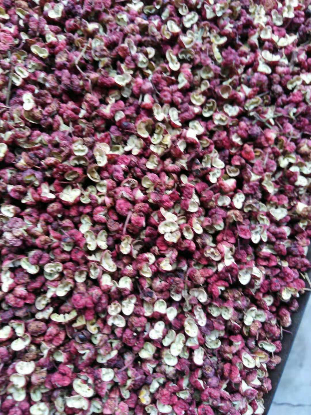 凤椒 一级 干花椒