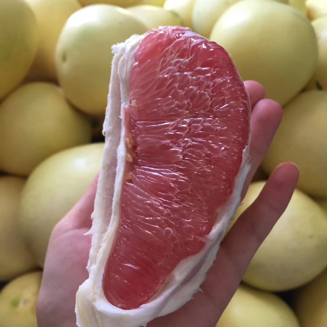 供应大厅  水果 柚子