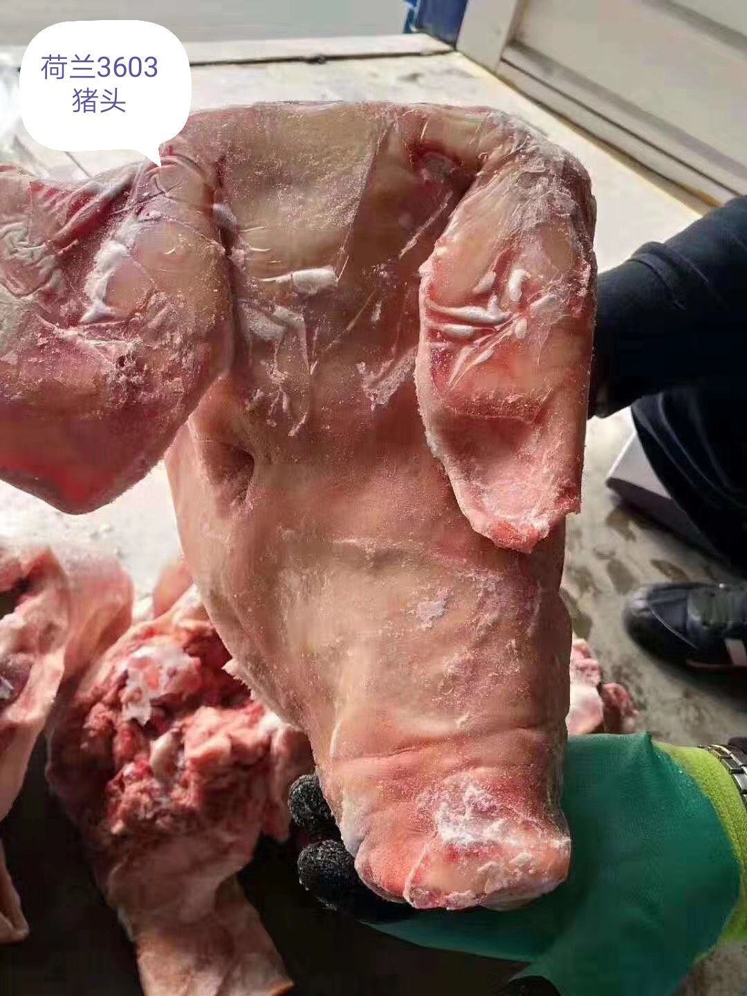 冷冻猪头荷兰3603猪头天津港
