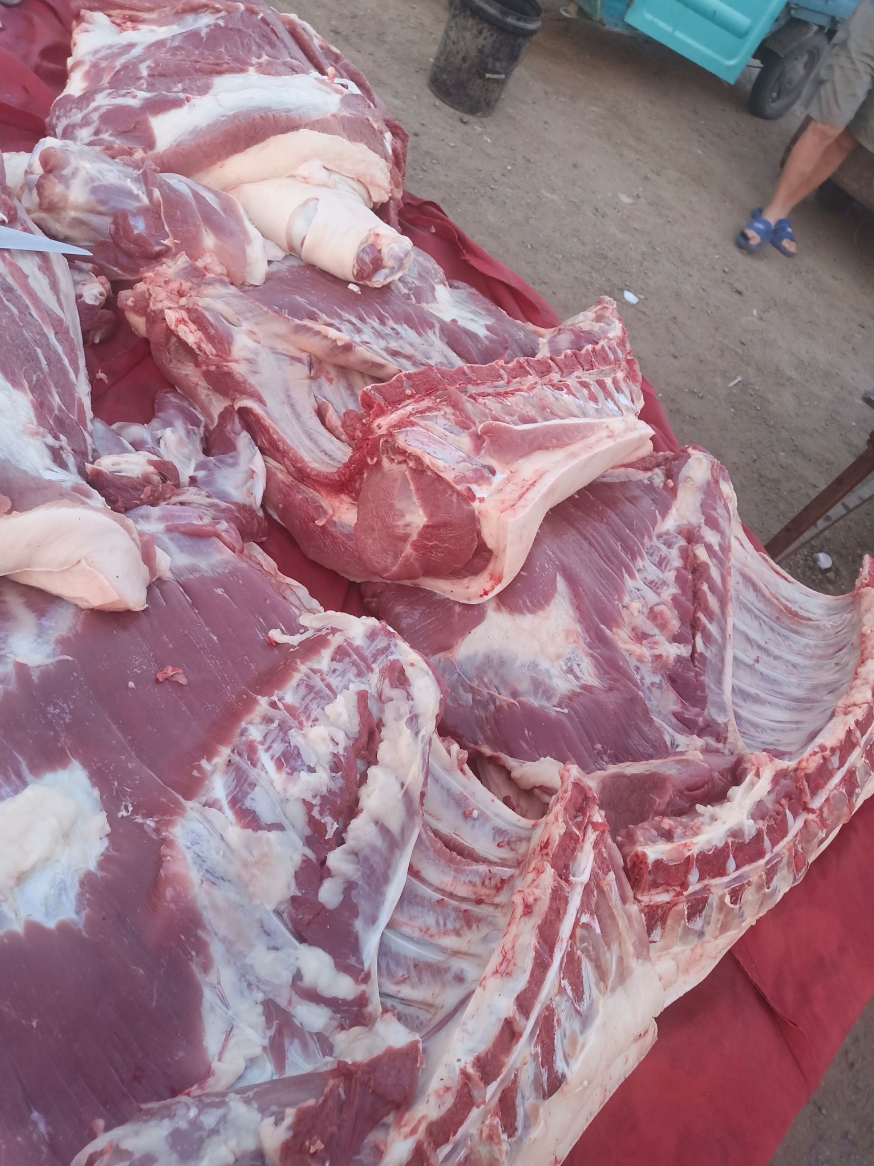 [猪肉类批发]猪肉类 每天都是新鲜肉价格20元/斤 50斤