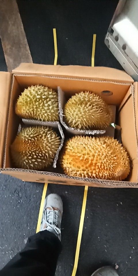 泰国榴莲56元一箱包邮