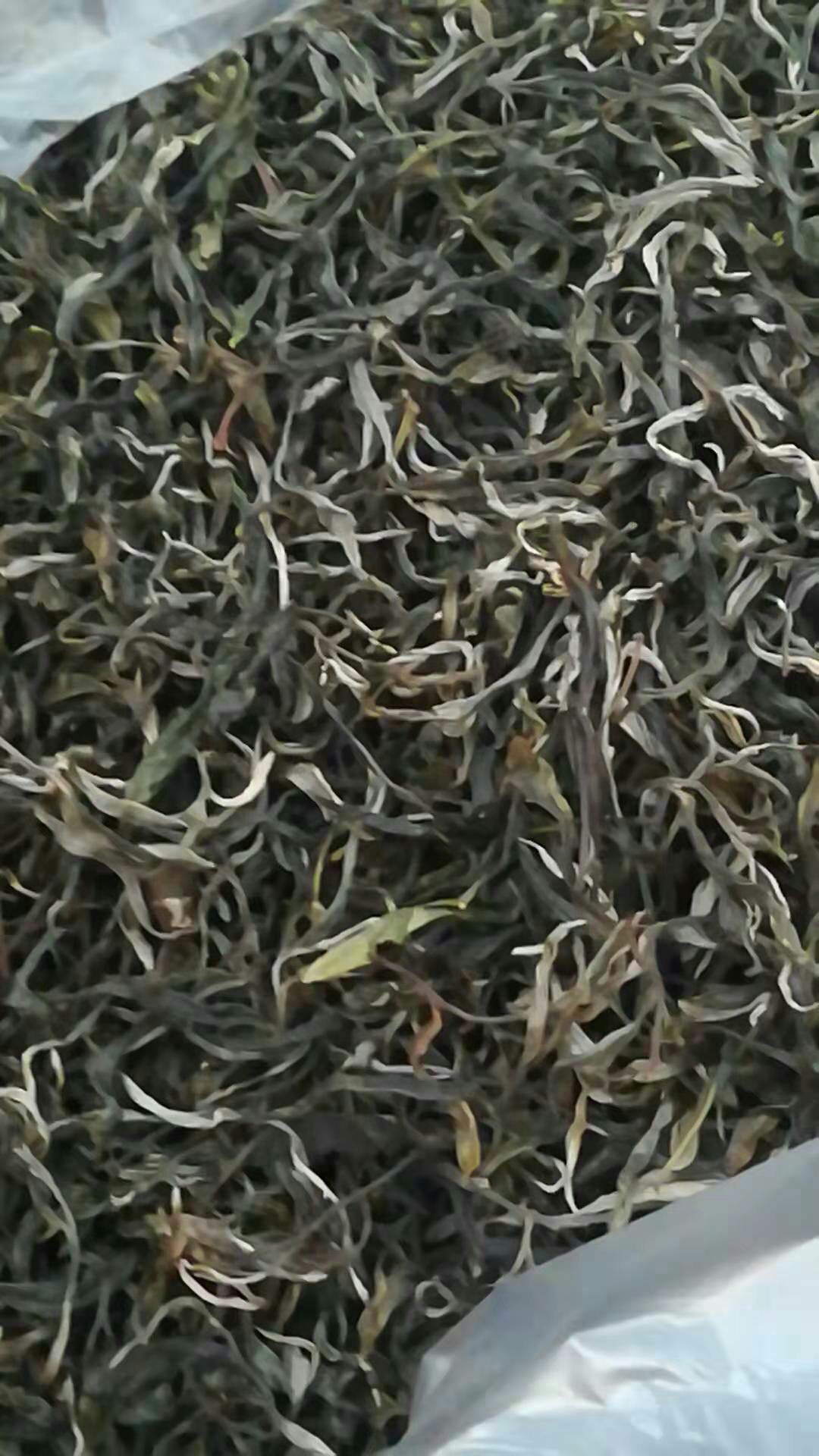 云南大树茶 云南古树茶