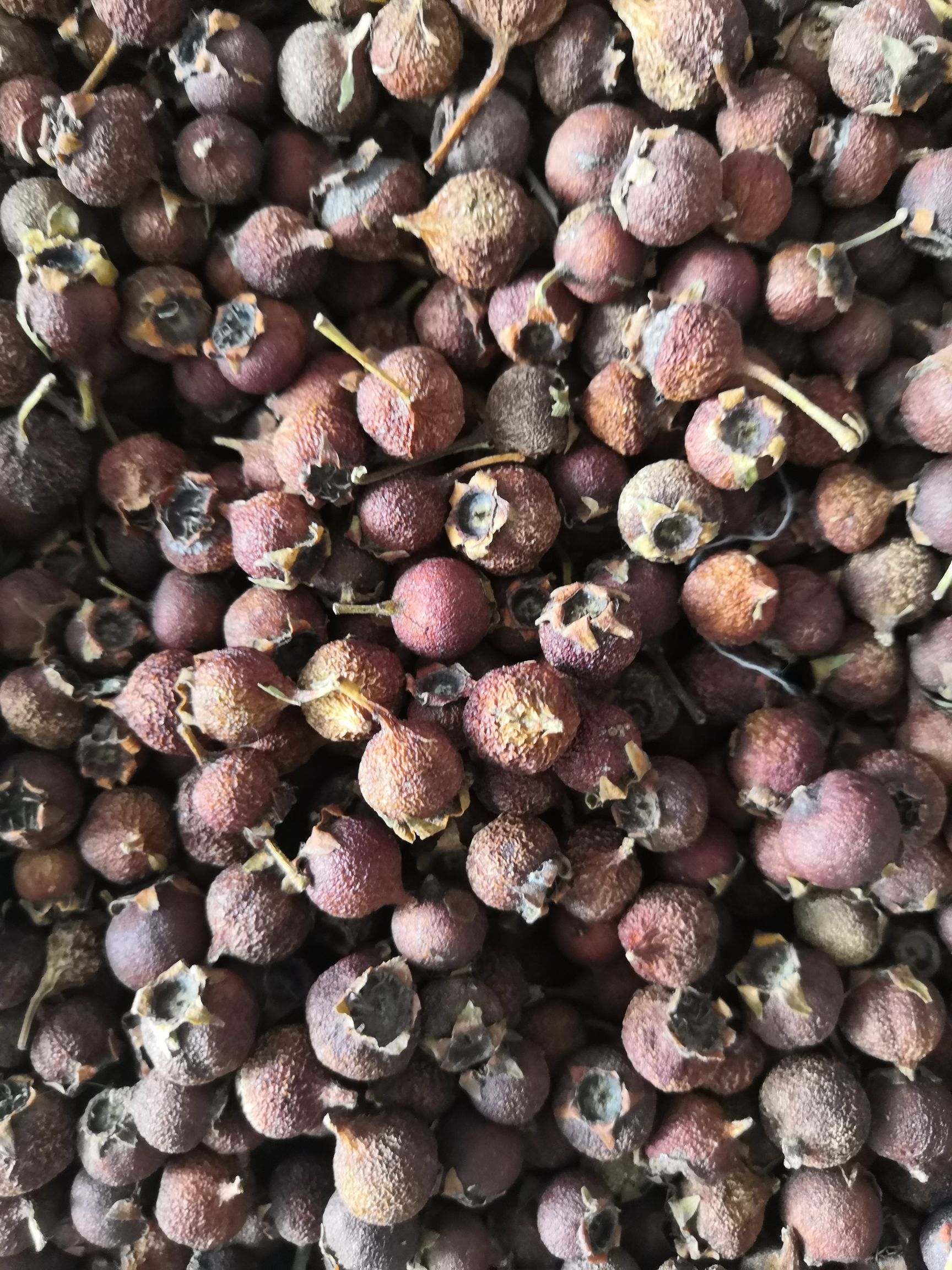*山楂 纯天然 南山楂
