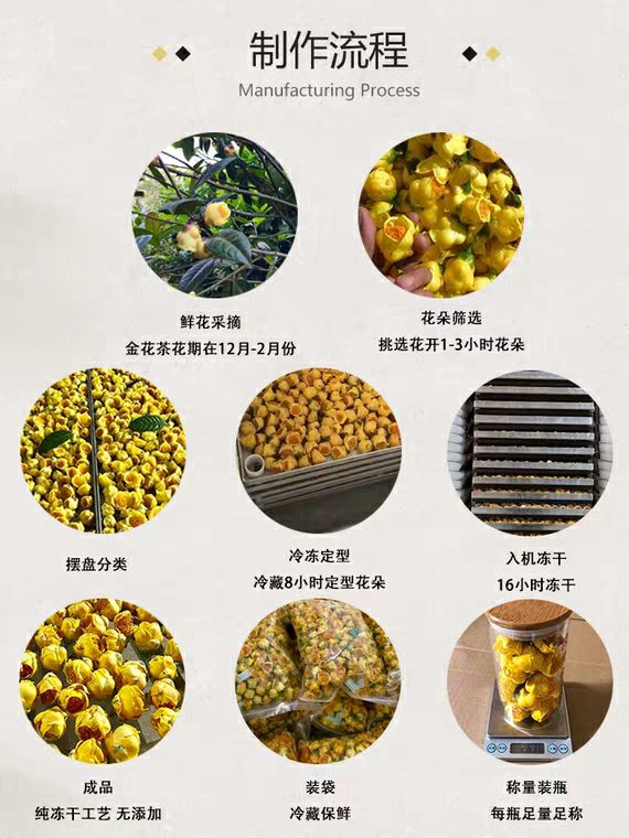 国宝金花茶 冻干加工封锁有效成分 带给你大自然的味道