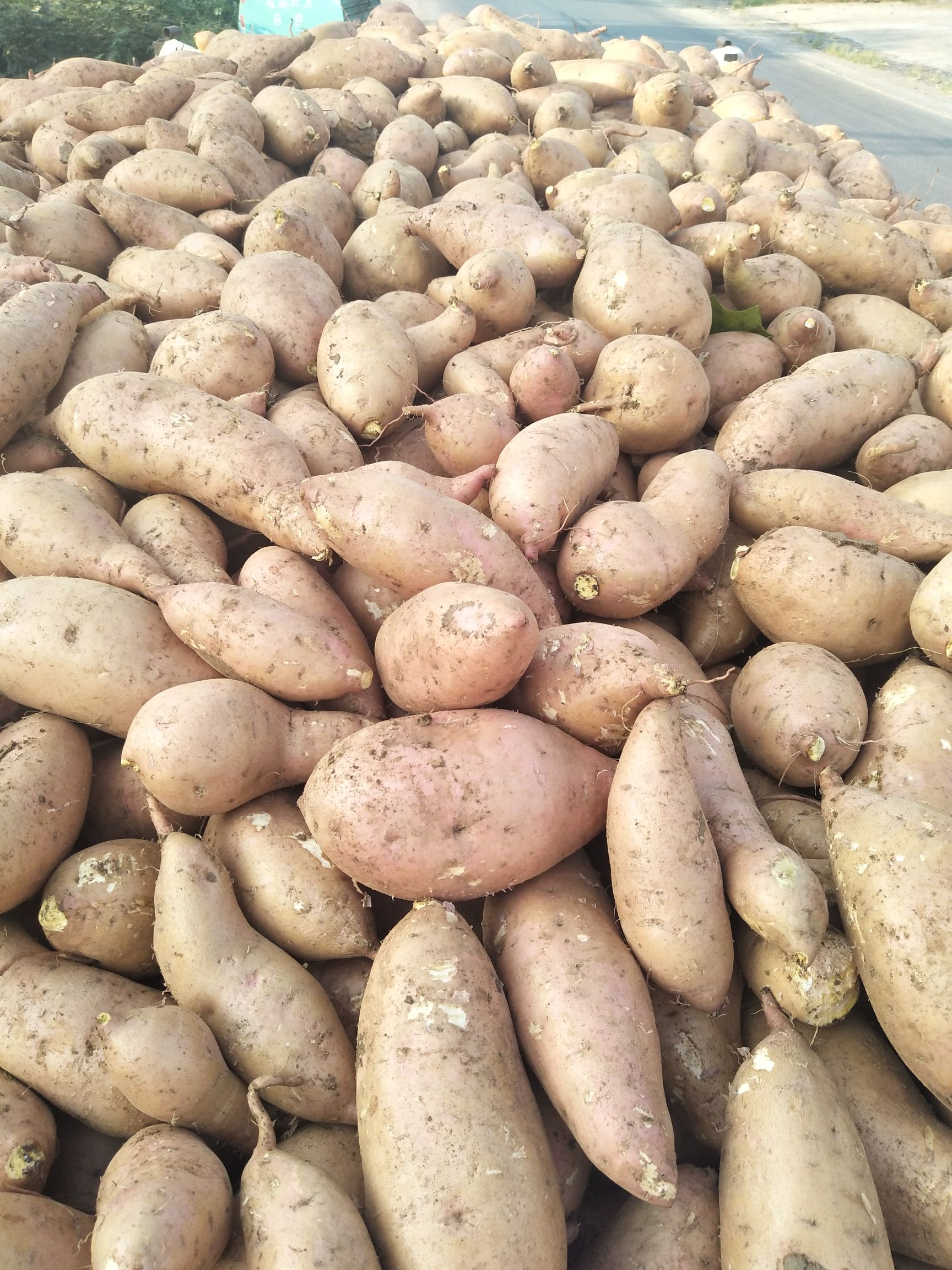 农产品批发供应商李开红 - 惠农网电脑版