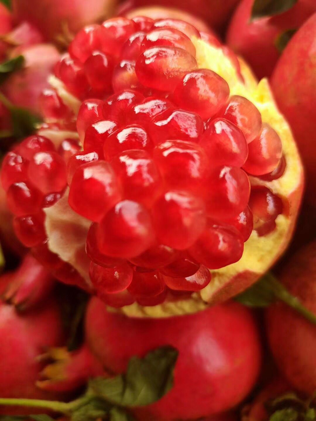 [突尼斯软籽石榴批发] 突尼斯软籽石榴新鲜采摘