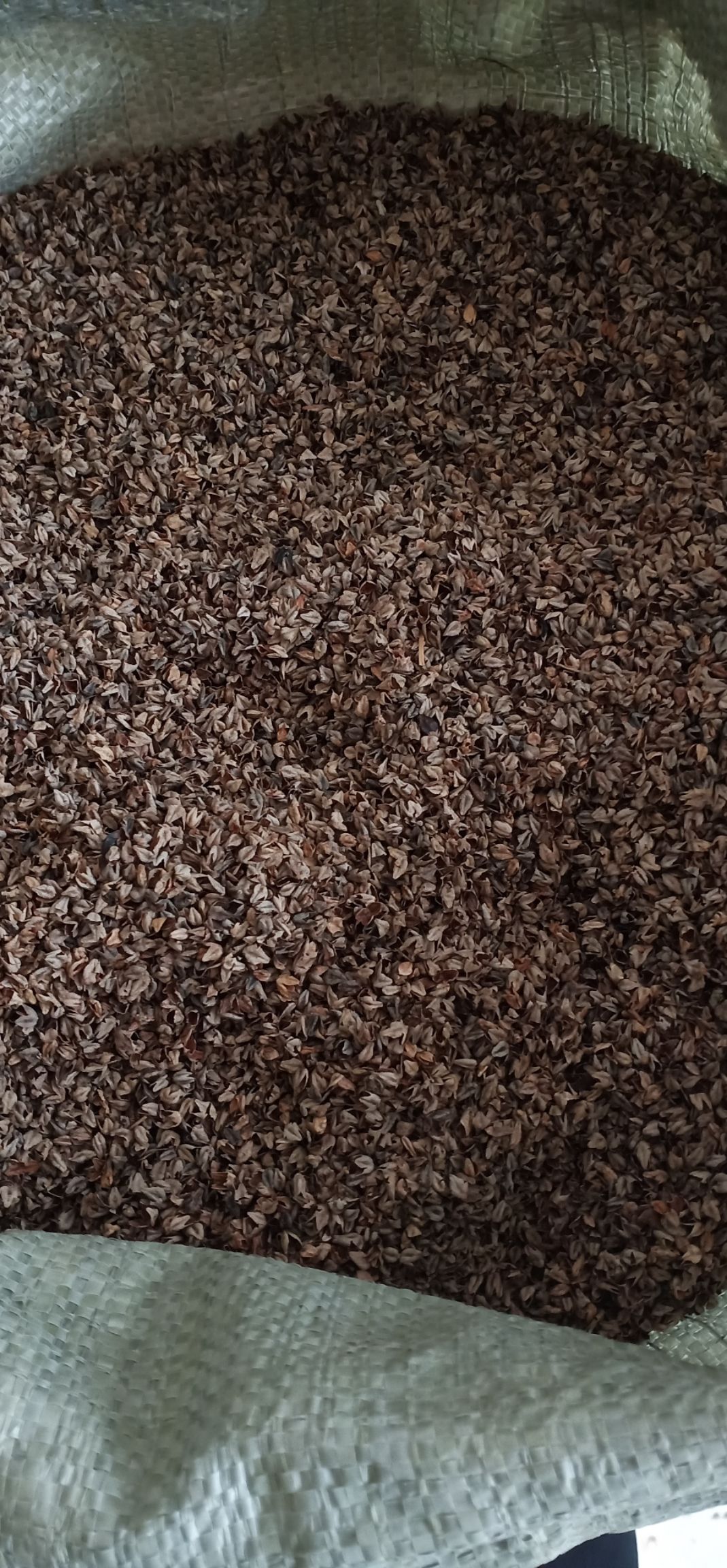 [荞麦壳批发]荞麦壳价格1.5元/斤 - 惠农网