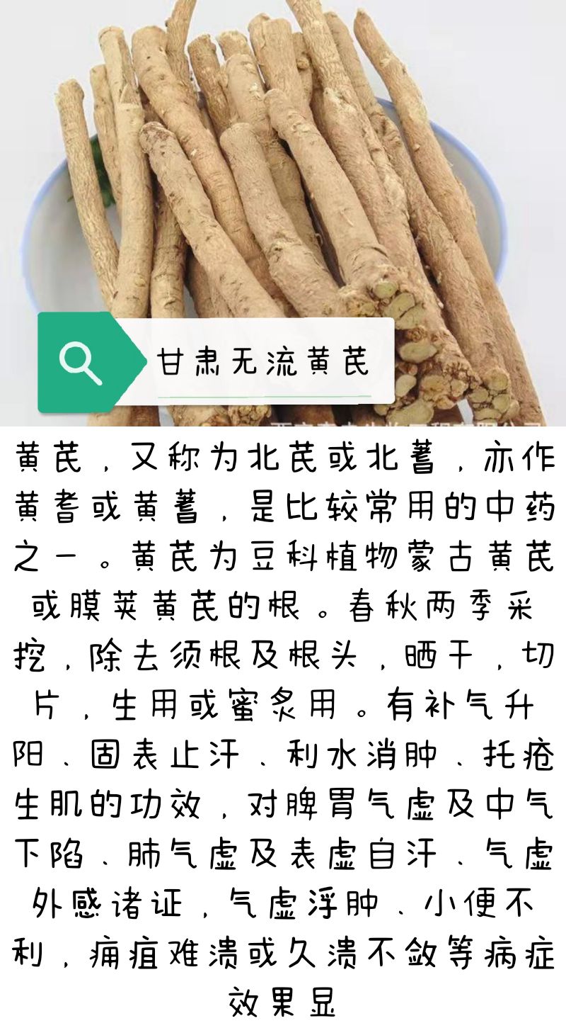 甘肃原产黄芪,货真价实,价格合理,量大从优.