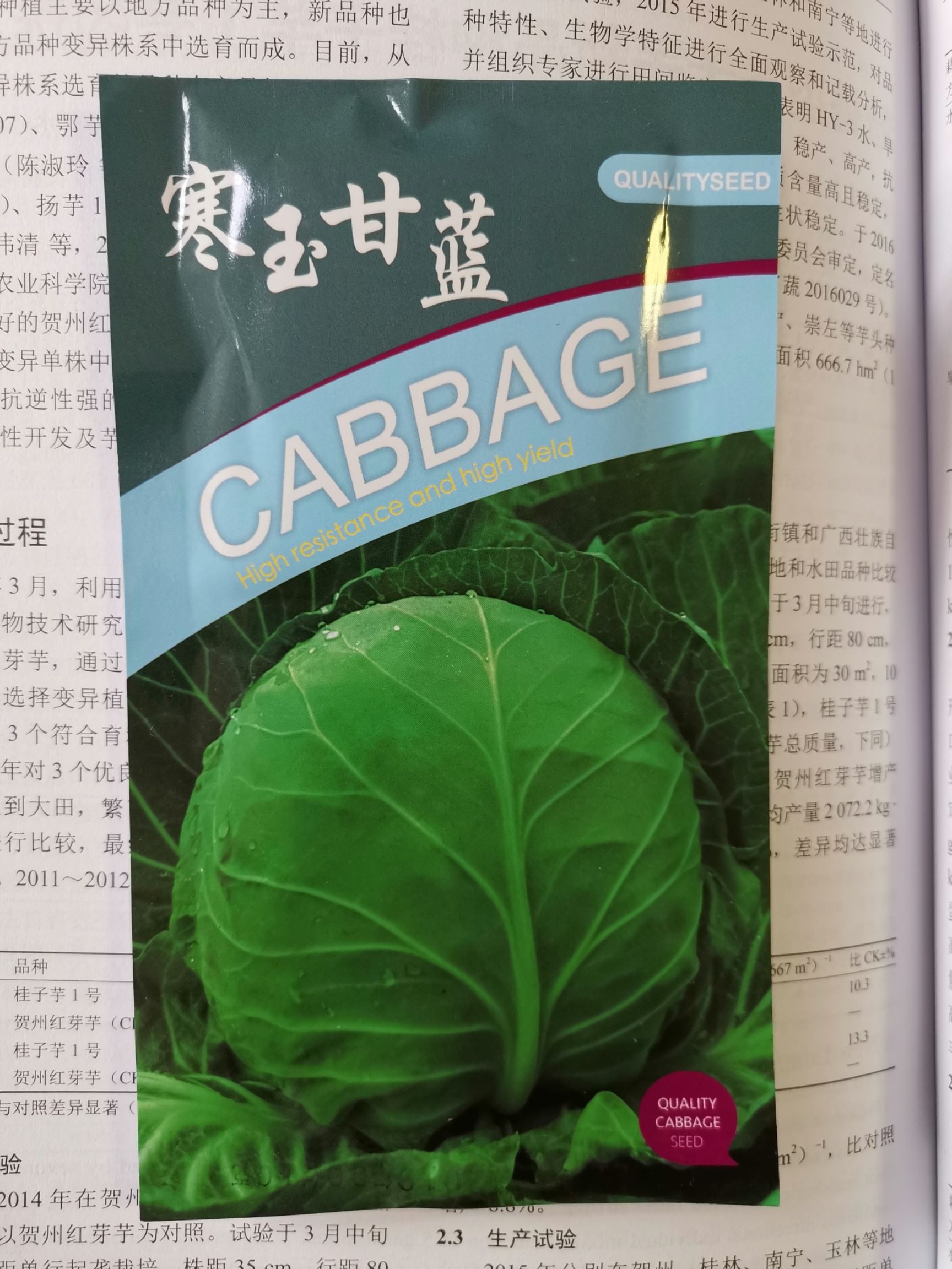 圆包菜种子 越冬甘蓝种子,球形抗病好!极耐低温,陆地,保护地栽培