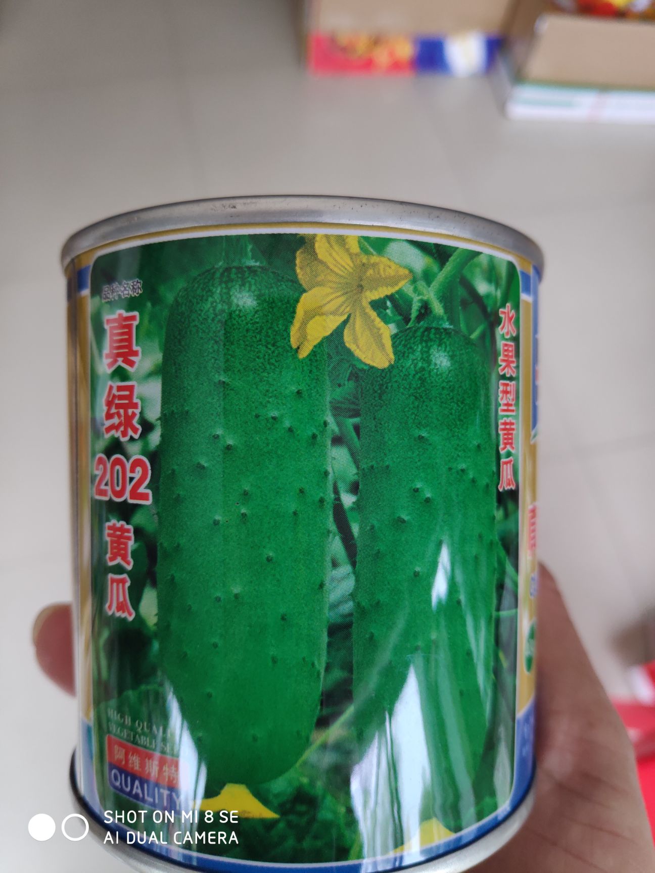 真绿202水果型黄瓜种子 早熟高产抗病性强抗高温耐低温瓜棒形皮翠绿色