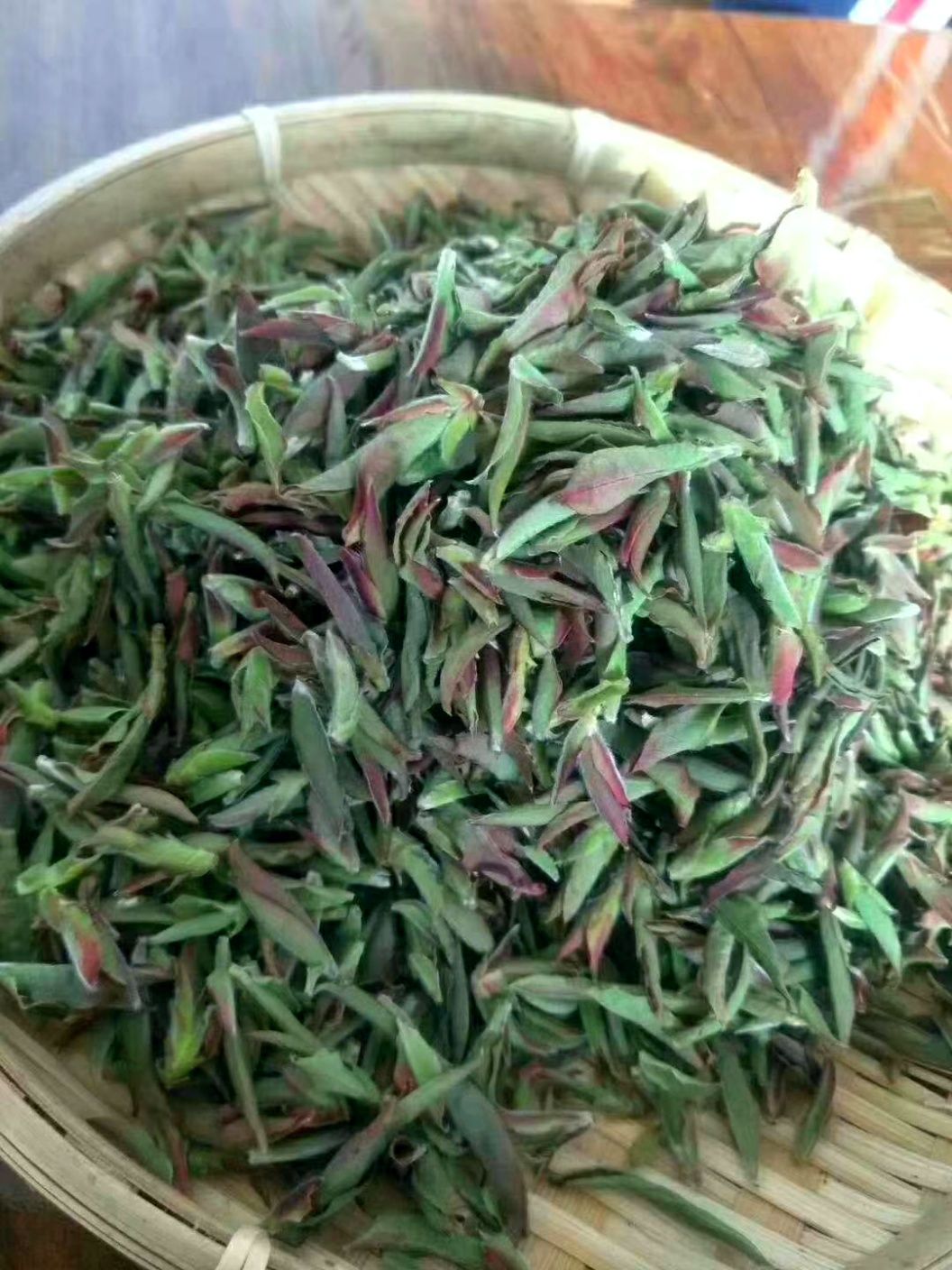 野生绿茶 大雪山野生芽孢,野味十足,花香扑鼻,甜水,不苦涩