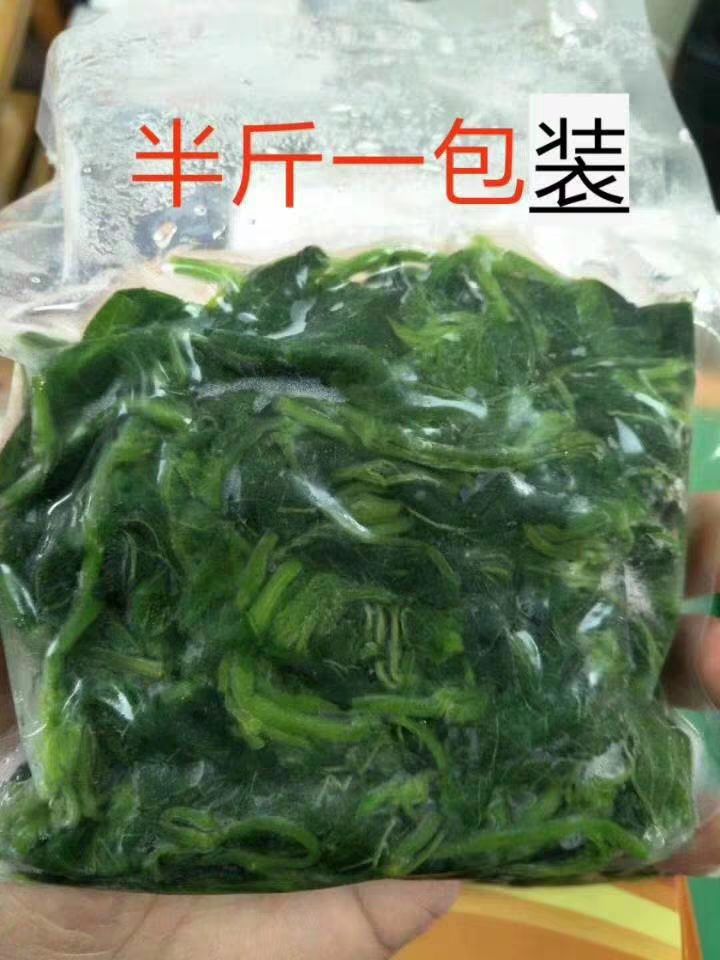 河南省漯河市源汇区 酒店特色菜桑树芽保健菜速冻桑芽菜新鲜桑叶冷冻