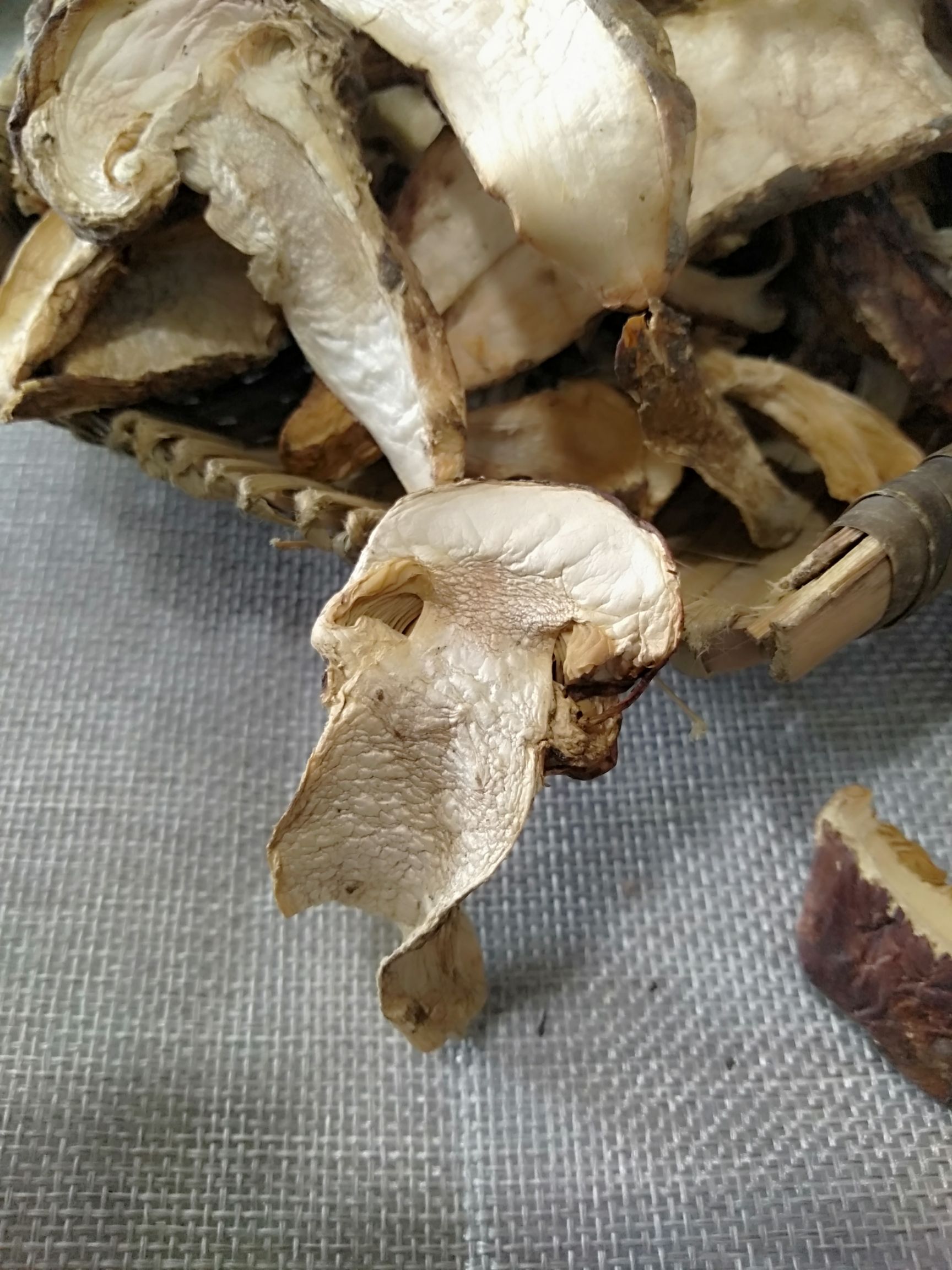 松茸干片