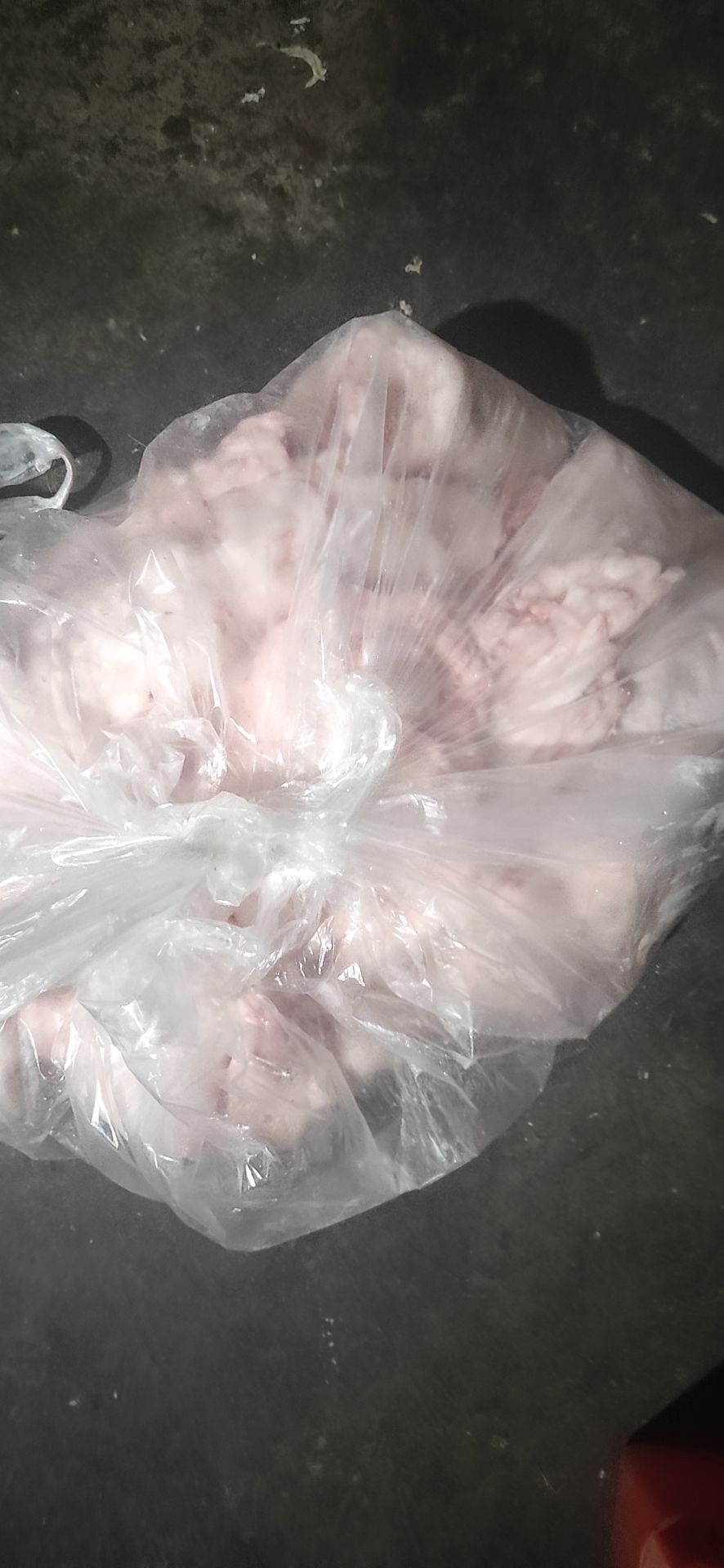鲜冻肥猪板油半个月内的货货好不好自己看