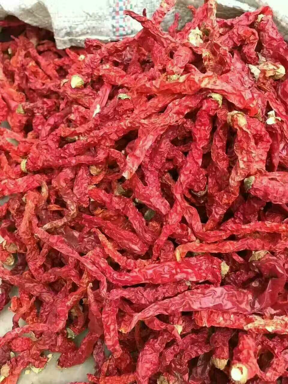 干线椒 【包邮】线椒干辣椒 邹皮 香辣 秦椒