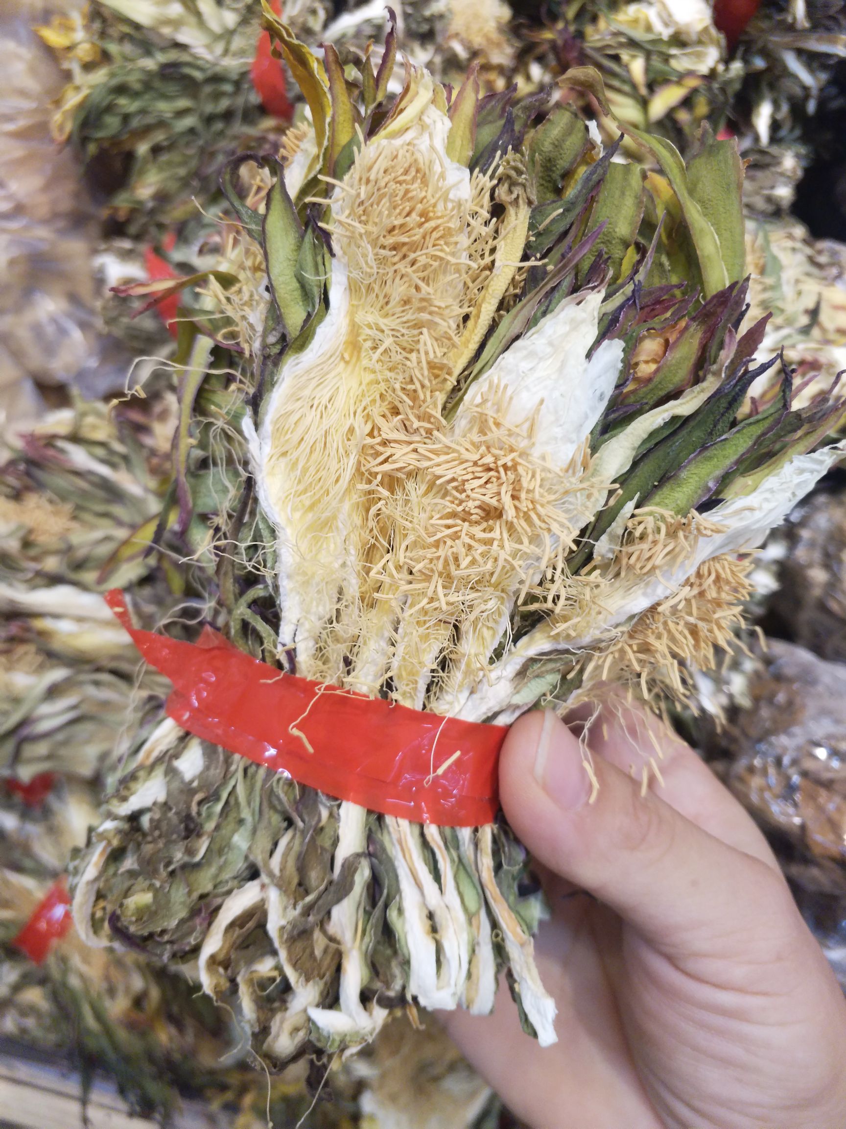广西霸王花干火龙果花煲汤润肺去火