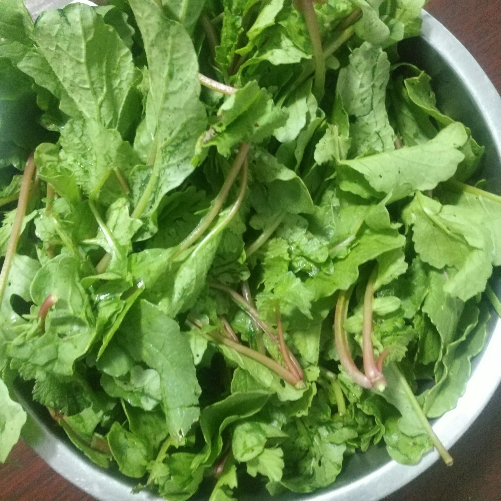 供应大厅  蔬菜 萝卜菜