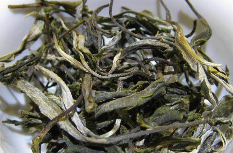 冰岛古树茶 冰岛古树春茶