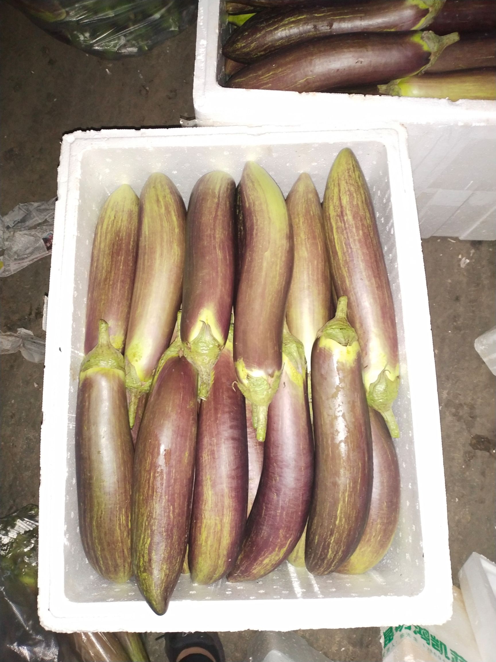 精品冰川茄