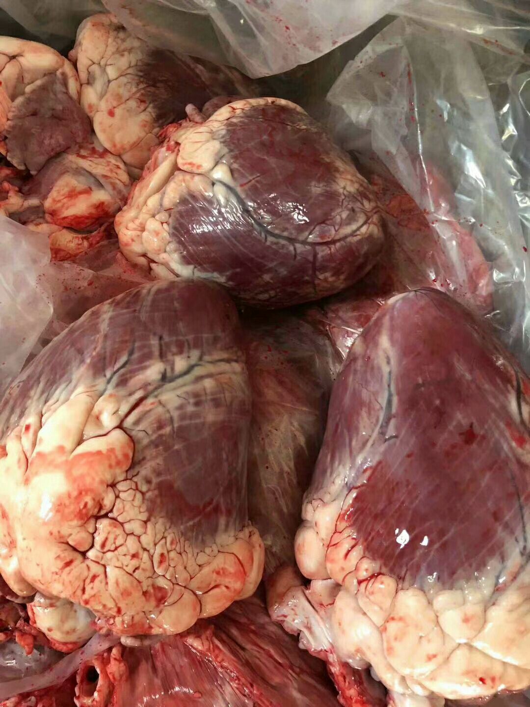 熟牛心一手加工批发价格