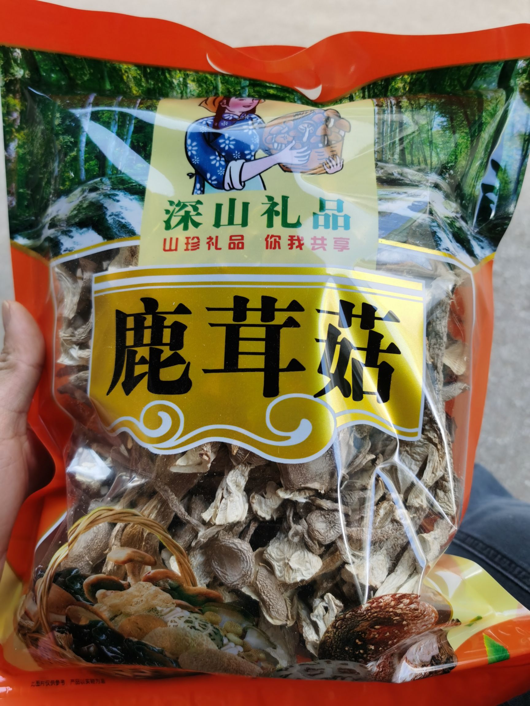 鹿茸菇菌子来自深山的味