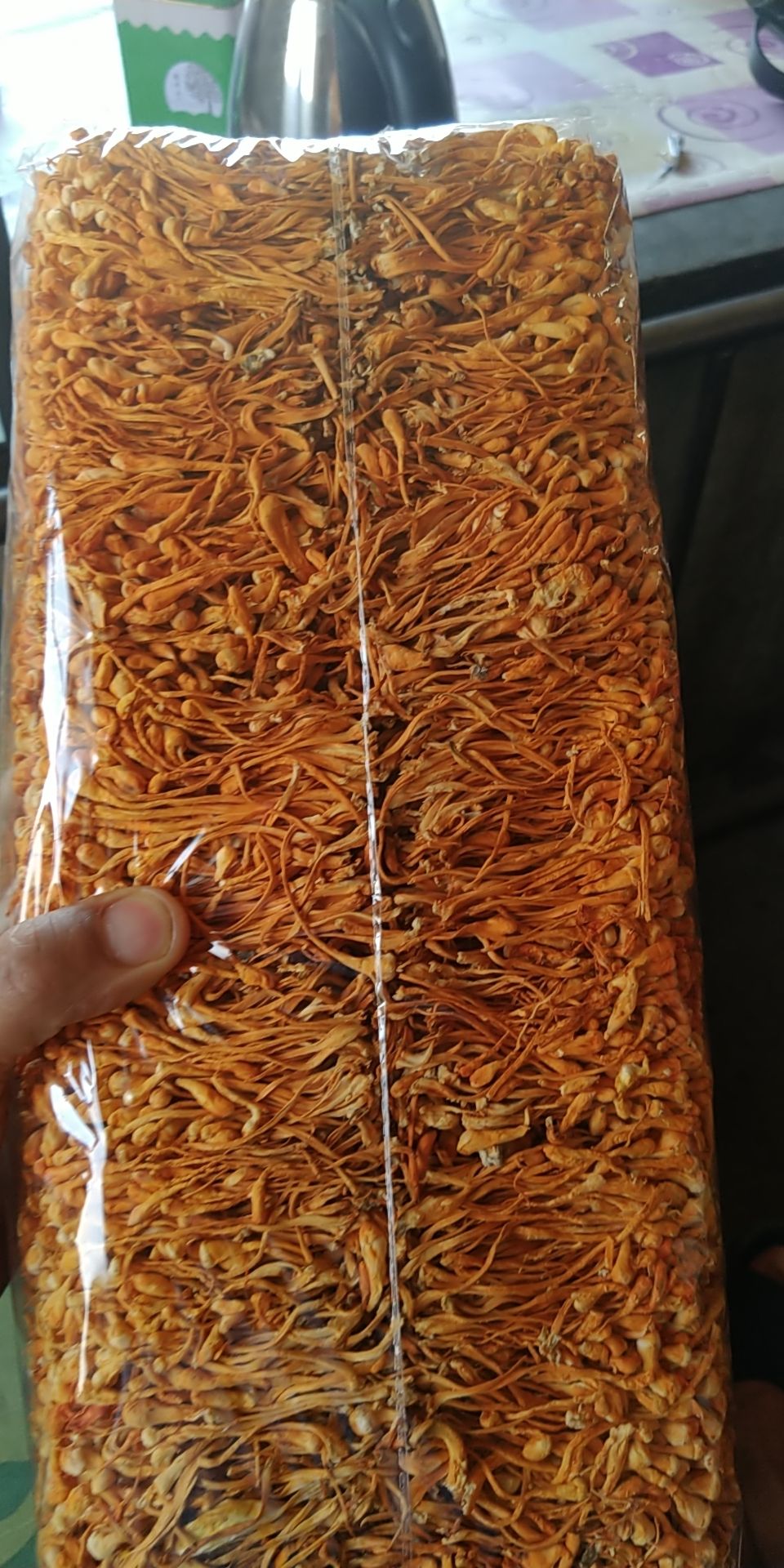 北虫草