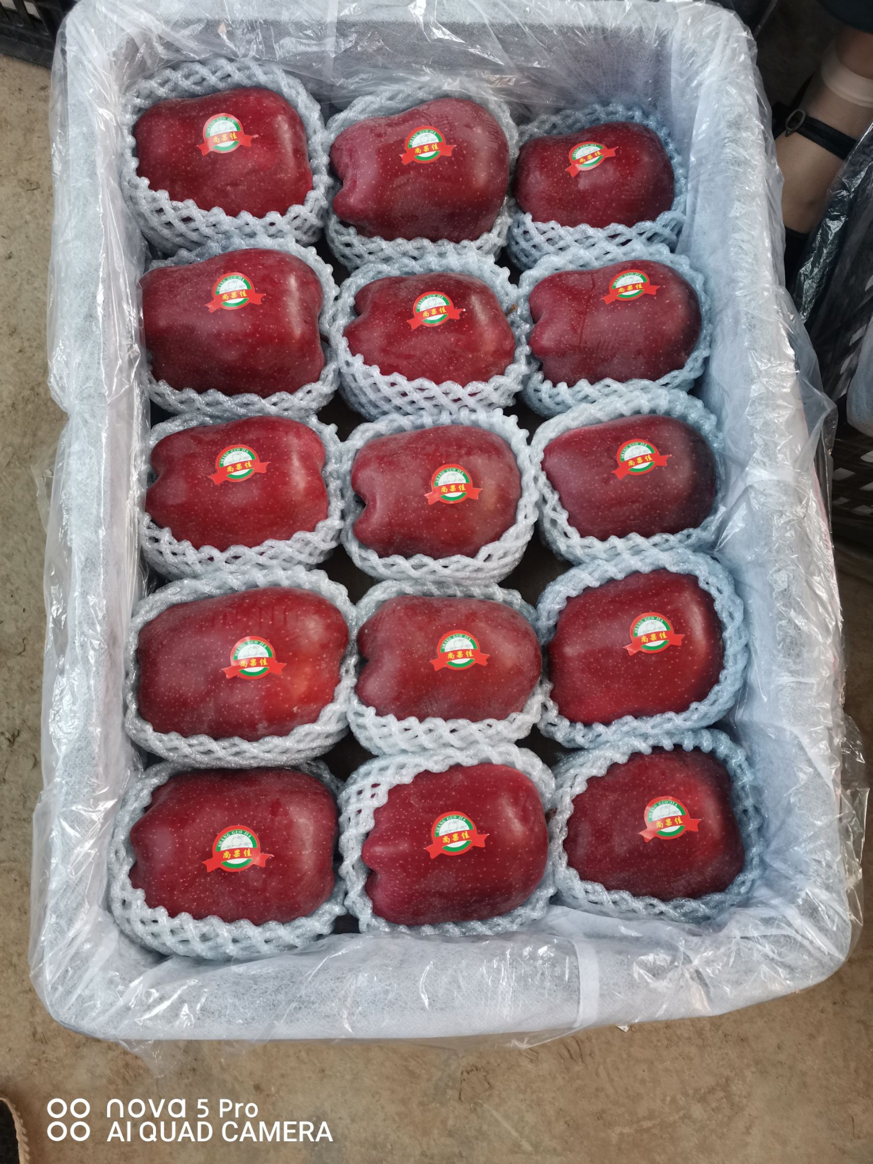 商品属性 品种名:天水花牛苹果 果径:80mm以上 颜色:全红 是否套袋