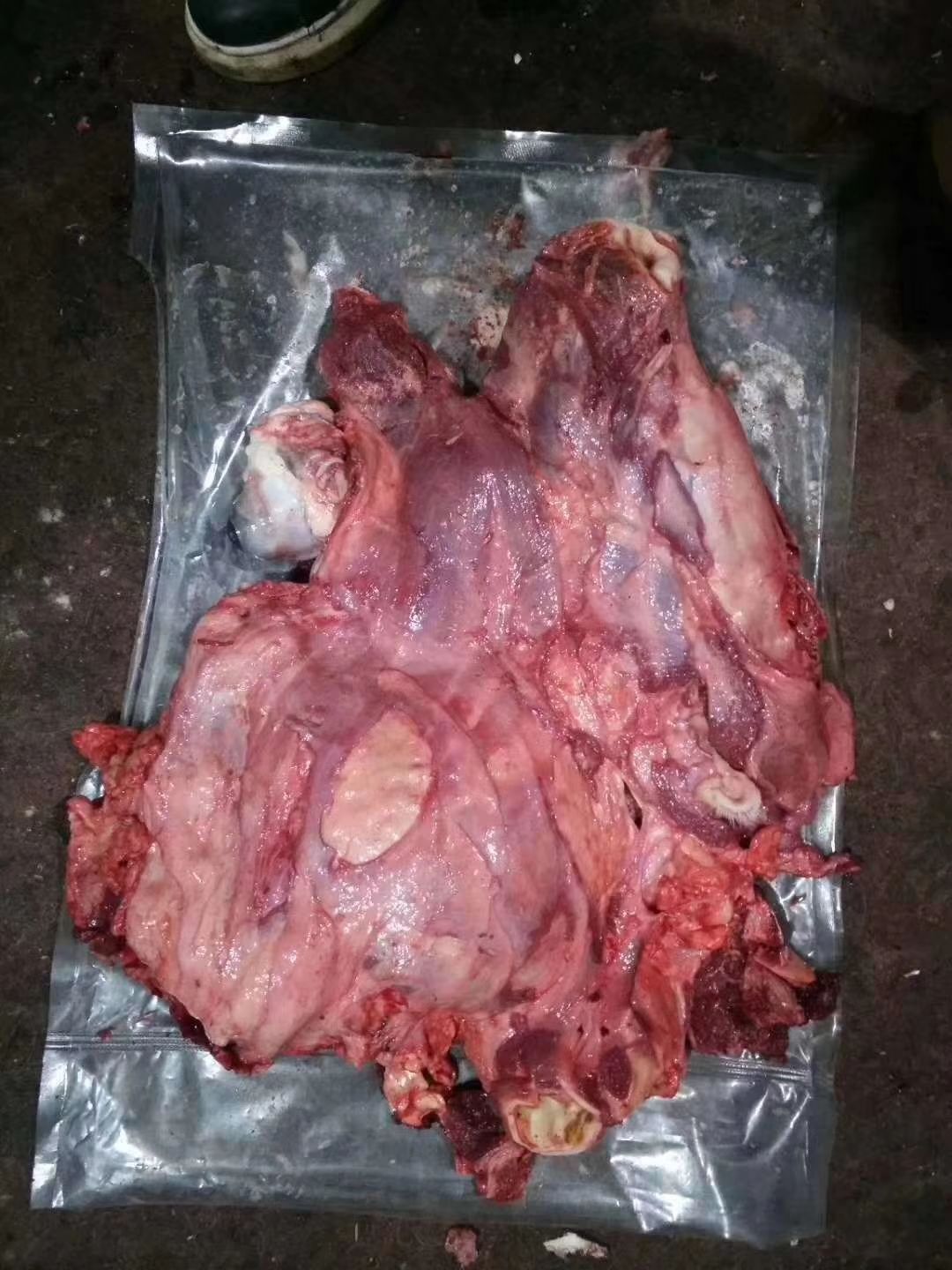 熟牛头肉,去皮去骨生牛头肉