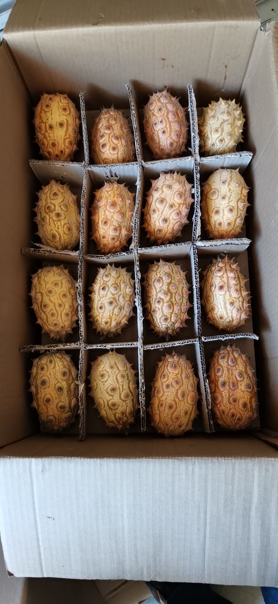 火参果